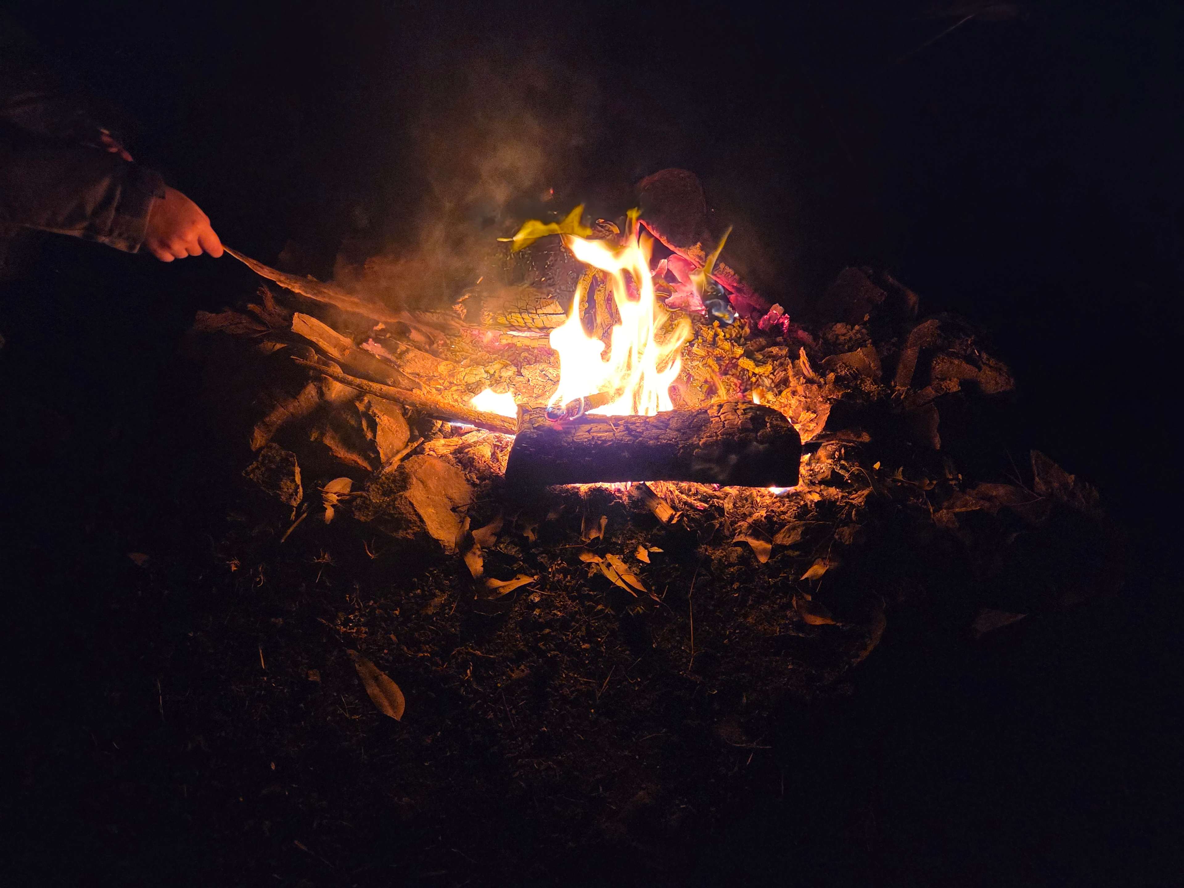 Riverside Camping, Glamping, Cabins