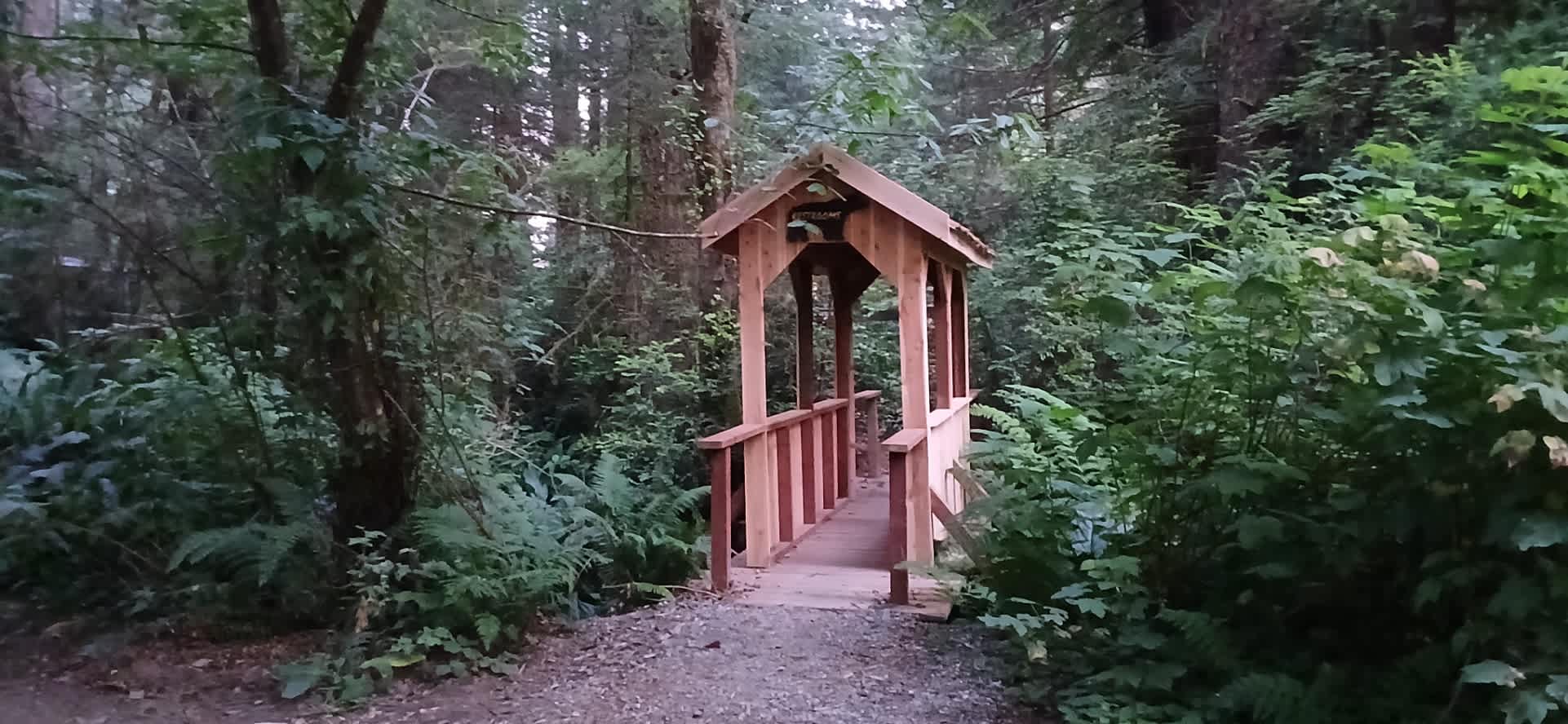 The trail to the restrooms and showers is not far from the site