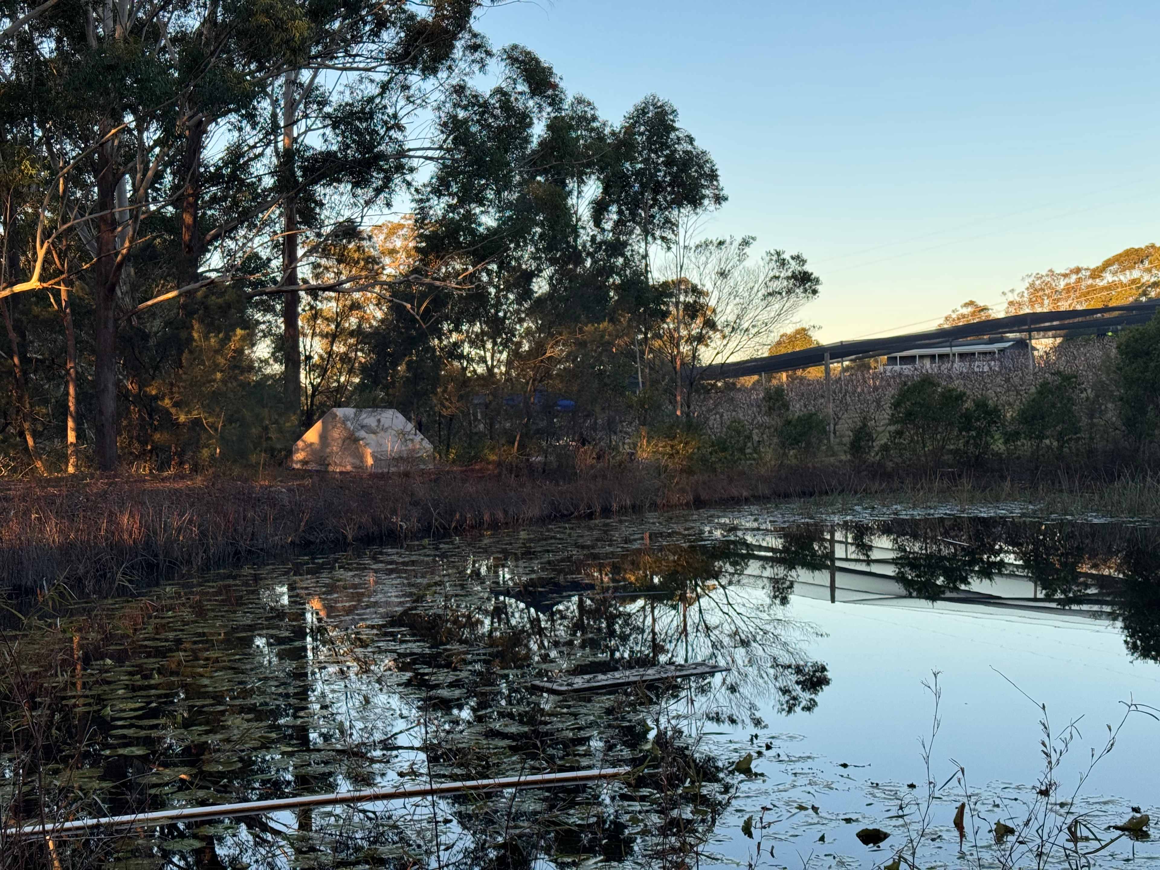 Canoelands Orchard Camping
