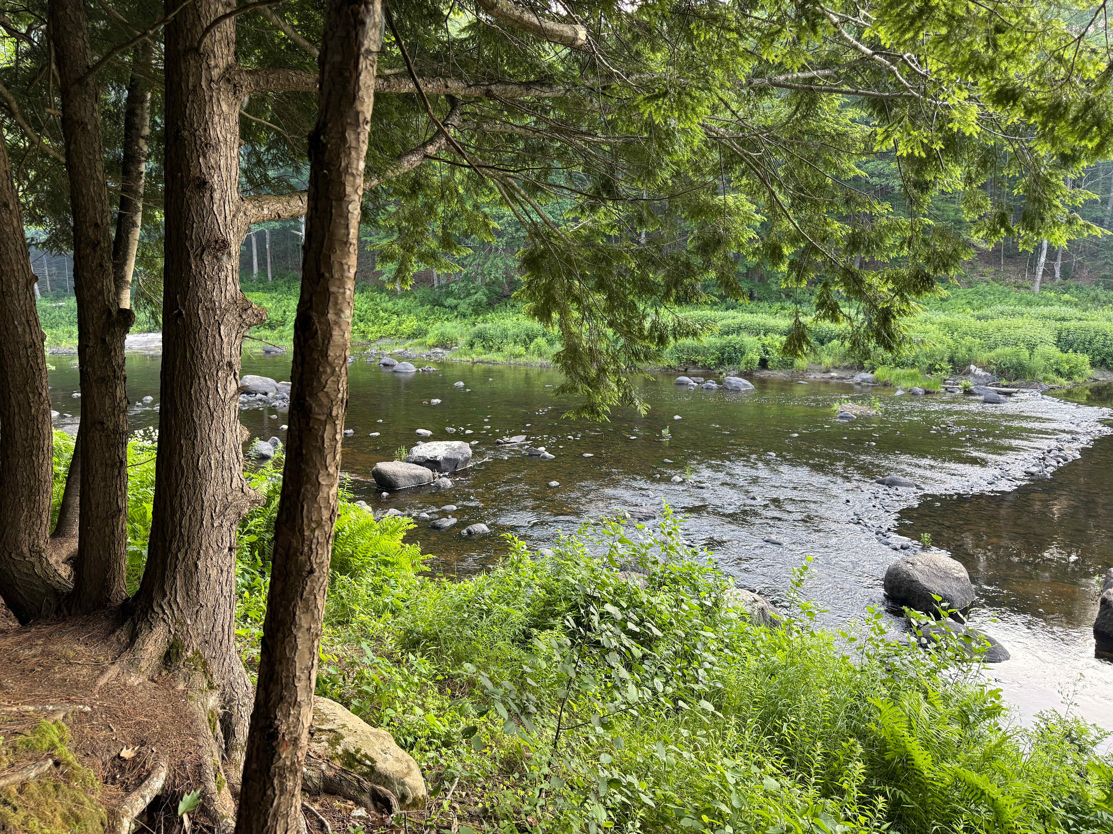 Flatrock on the River