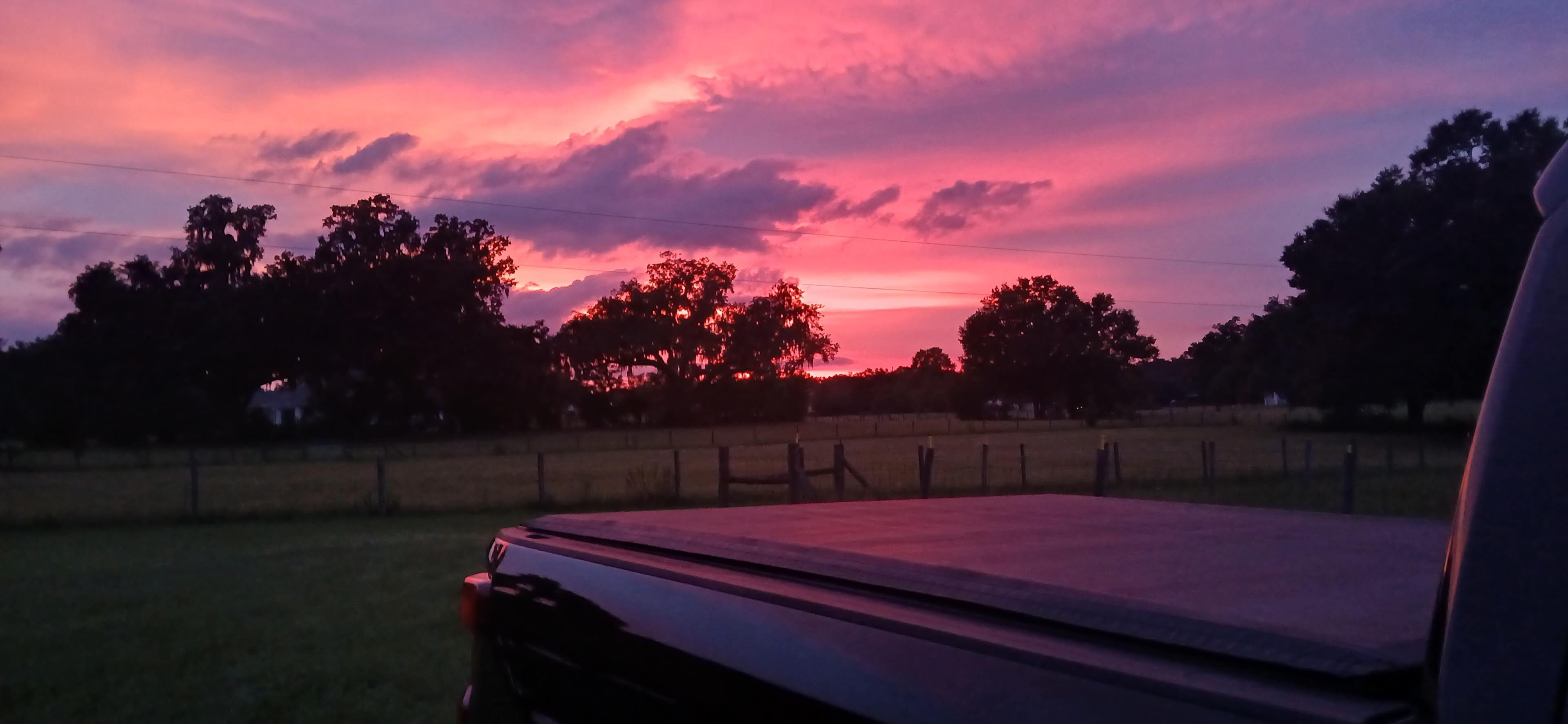 Pennylane Farm