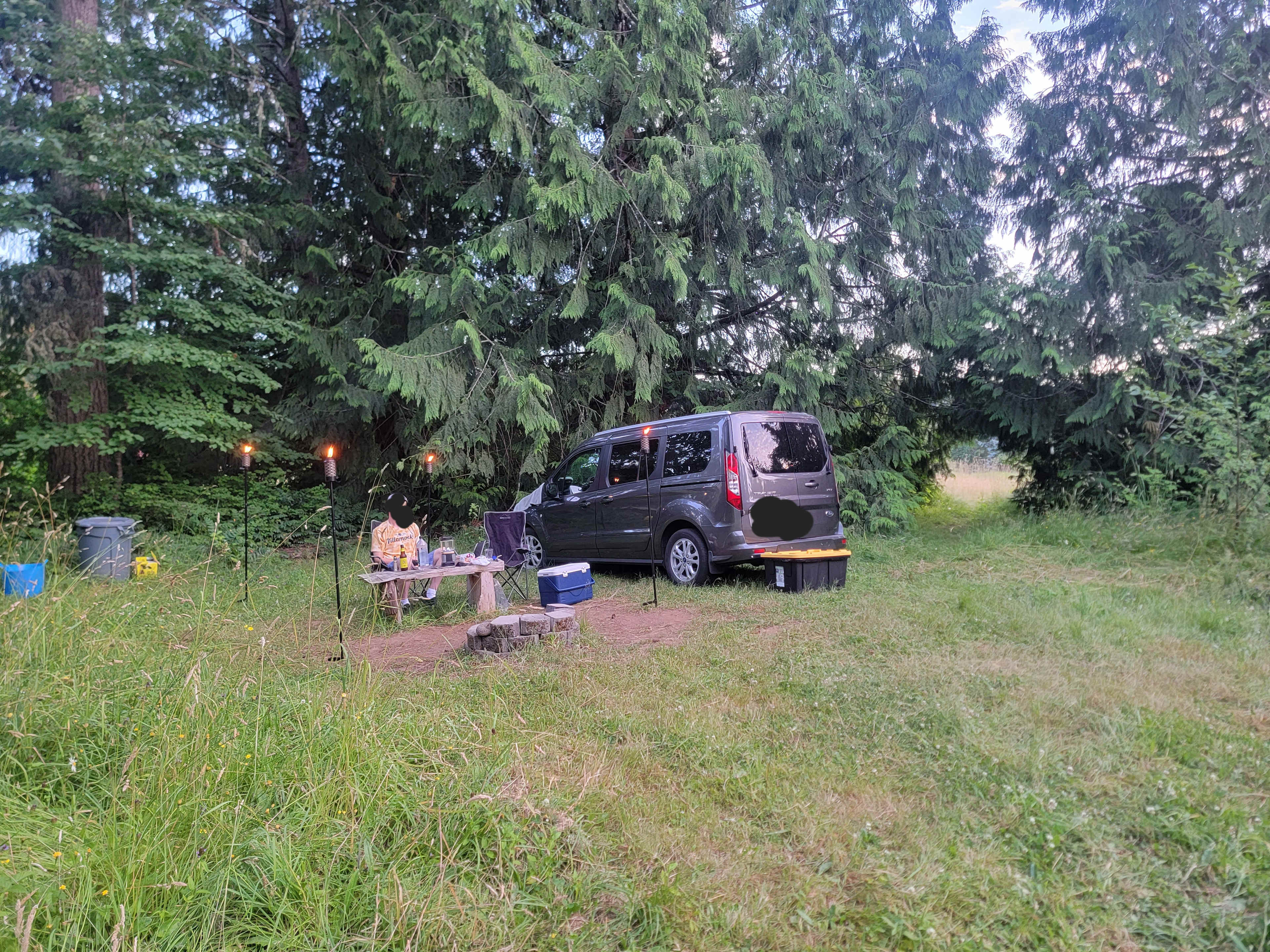 Salmon Berry Meadows