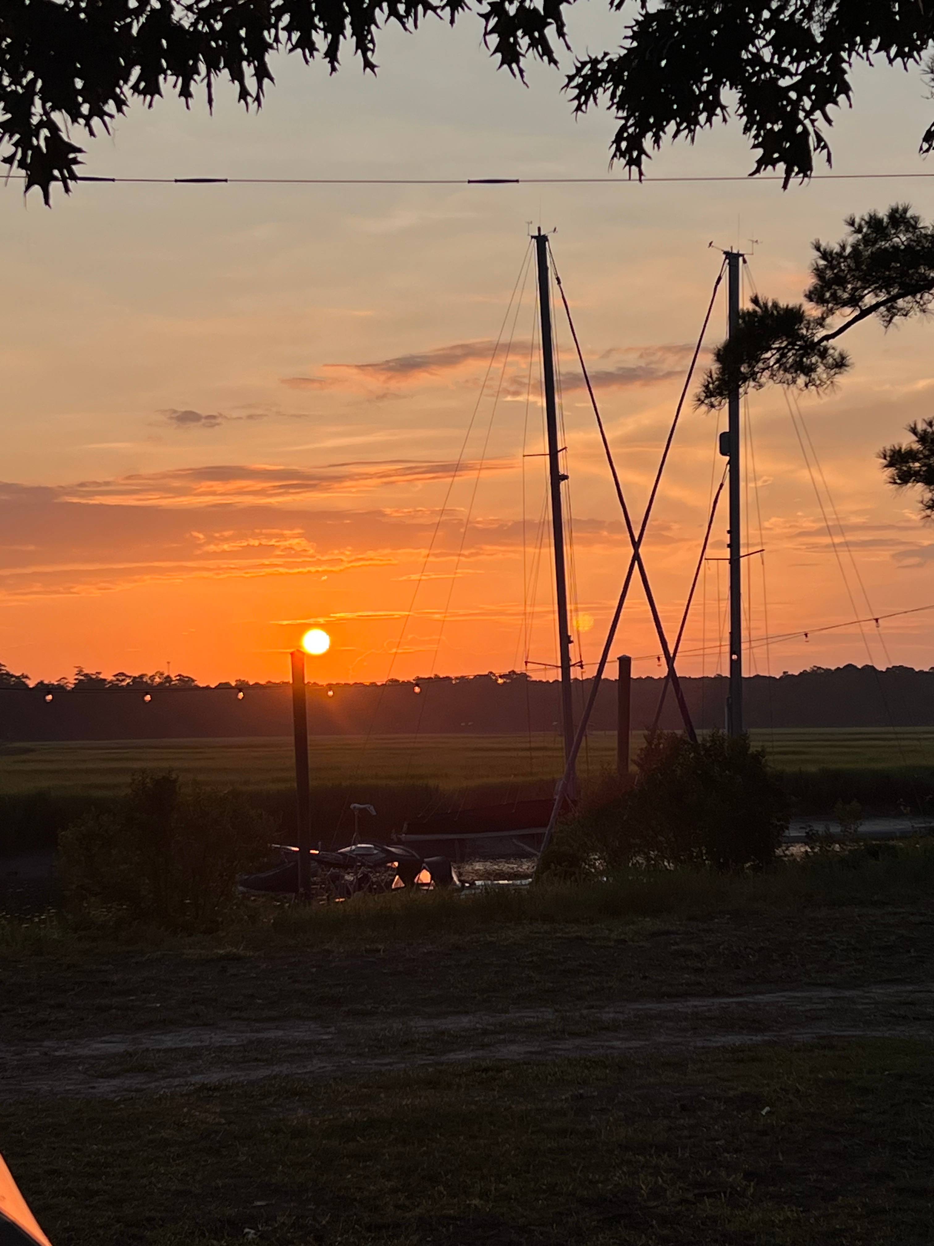 Belle Bluff Island Campground 