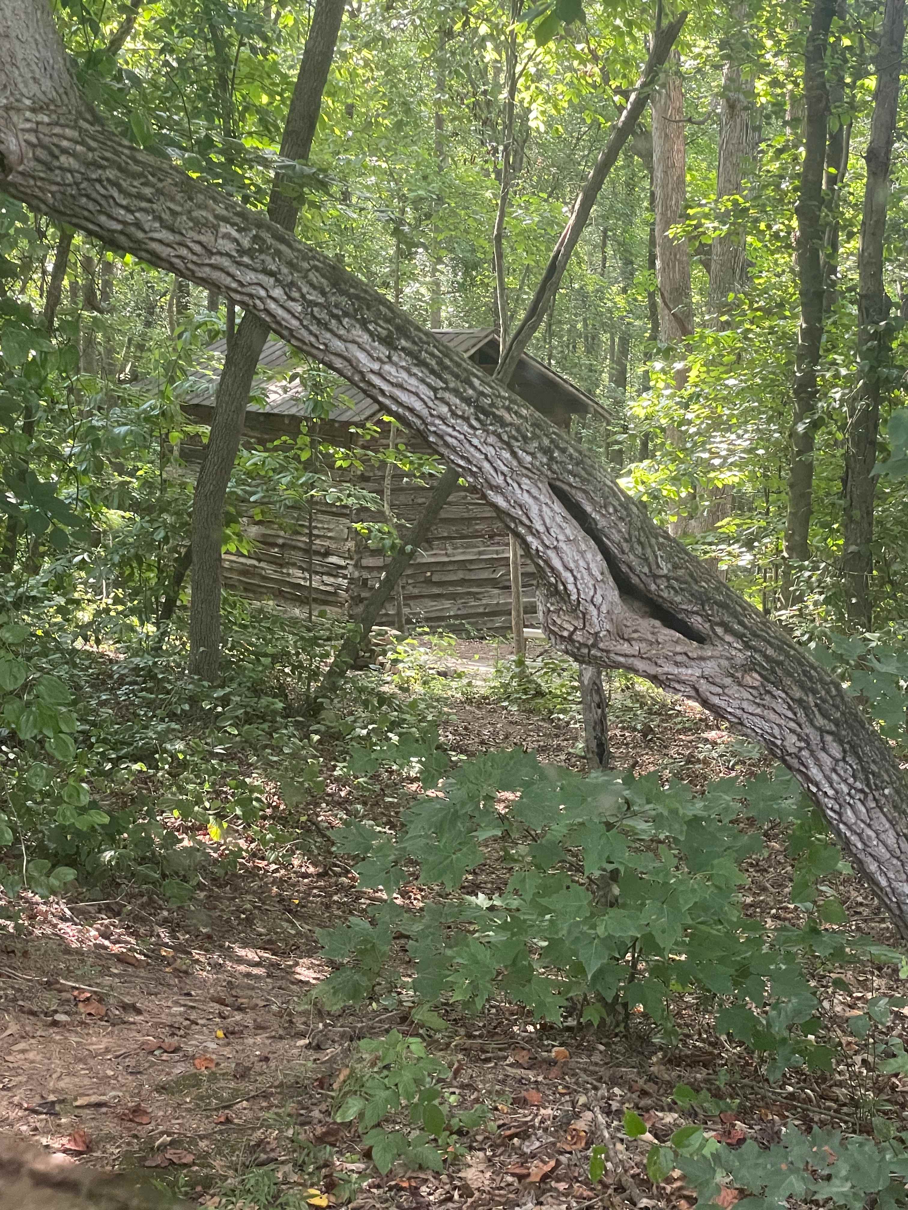 Eden Oaks Vineyard & Campground