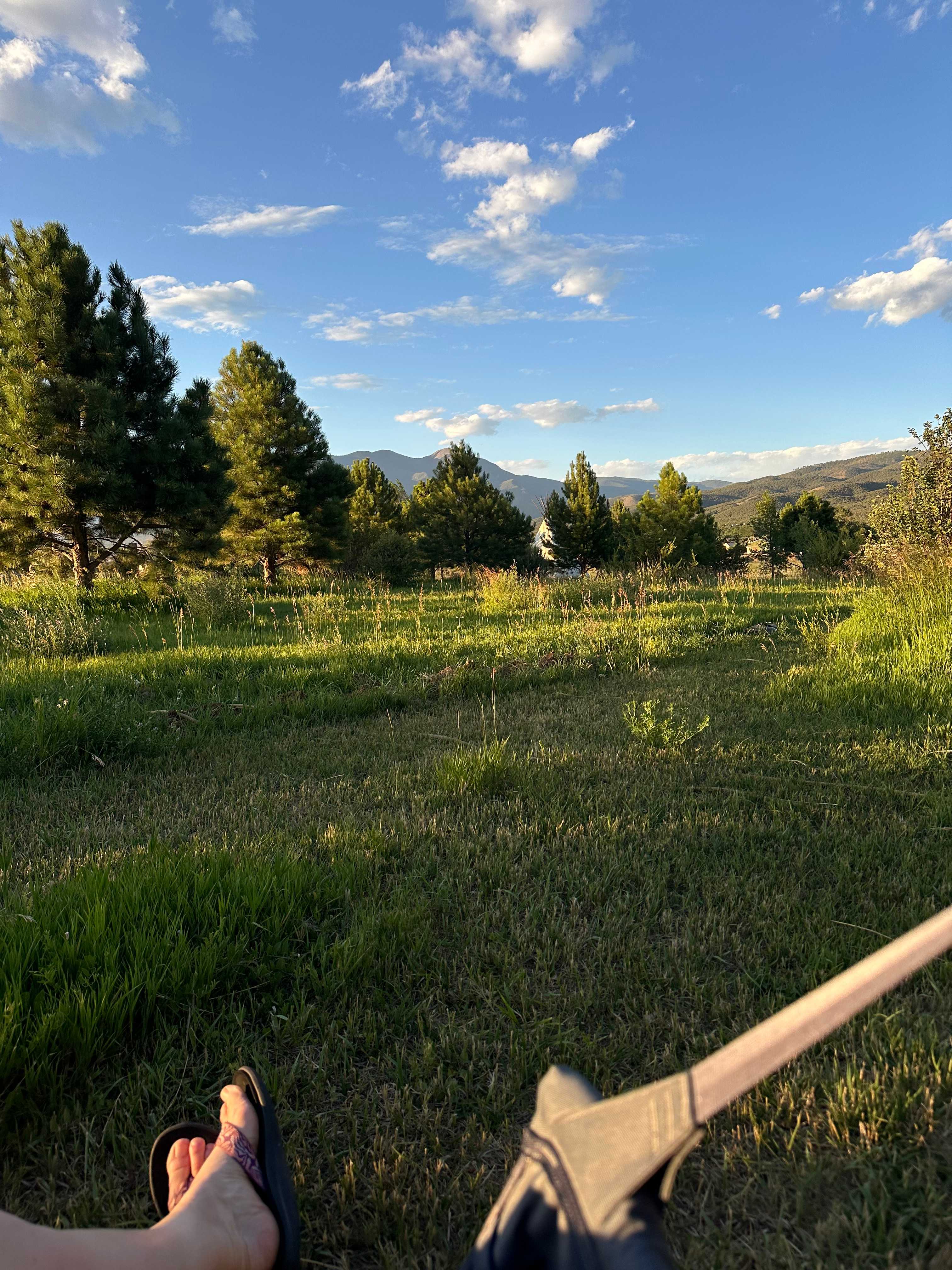 HarmonyTaos Regenerative Farm