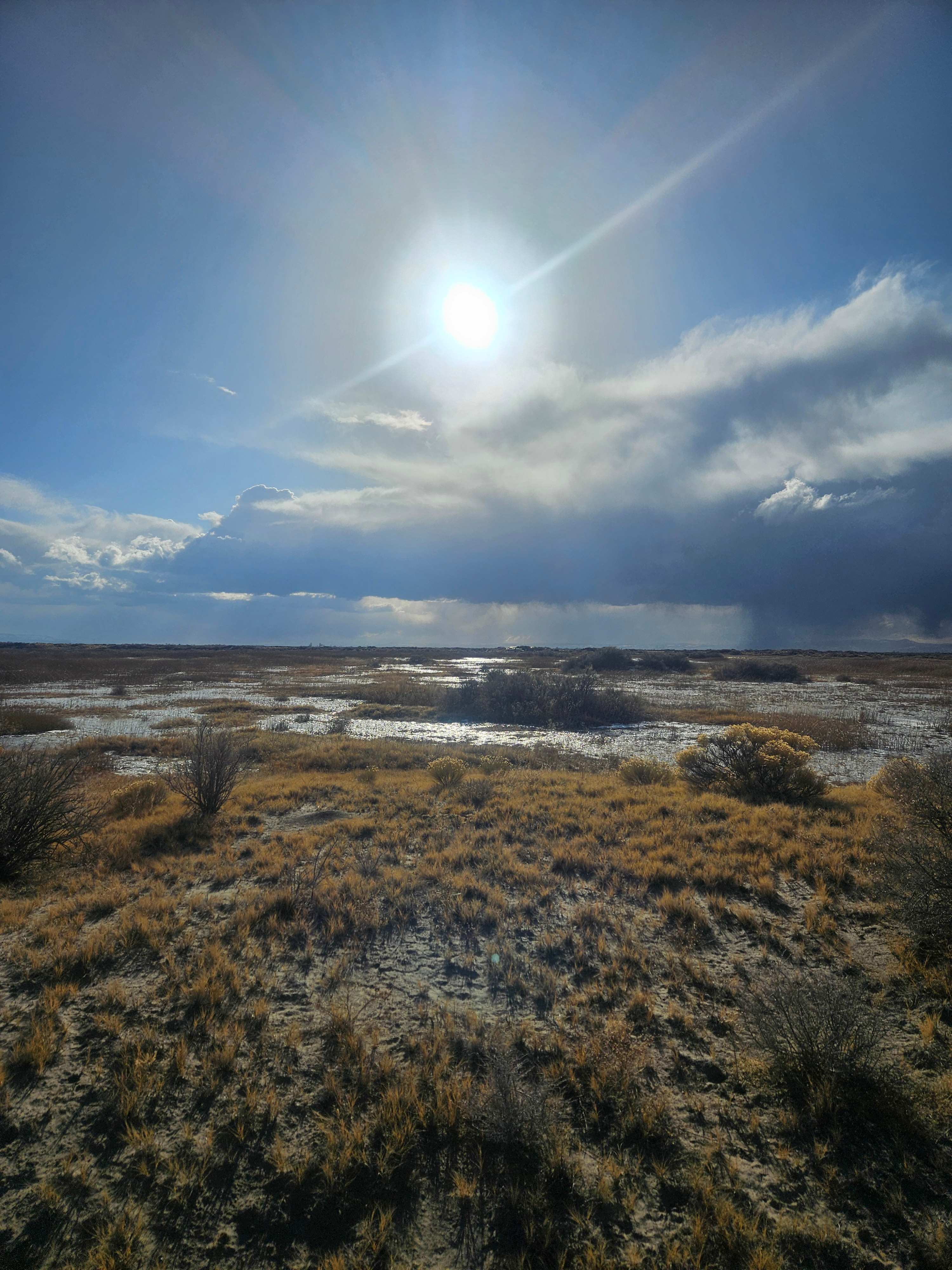 Mt. Blanca Wetlands Oasis