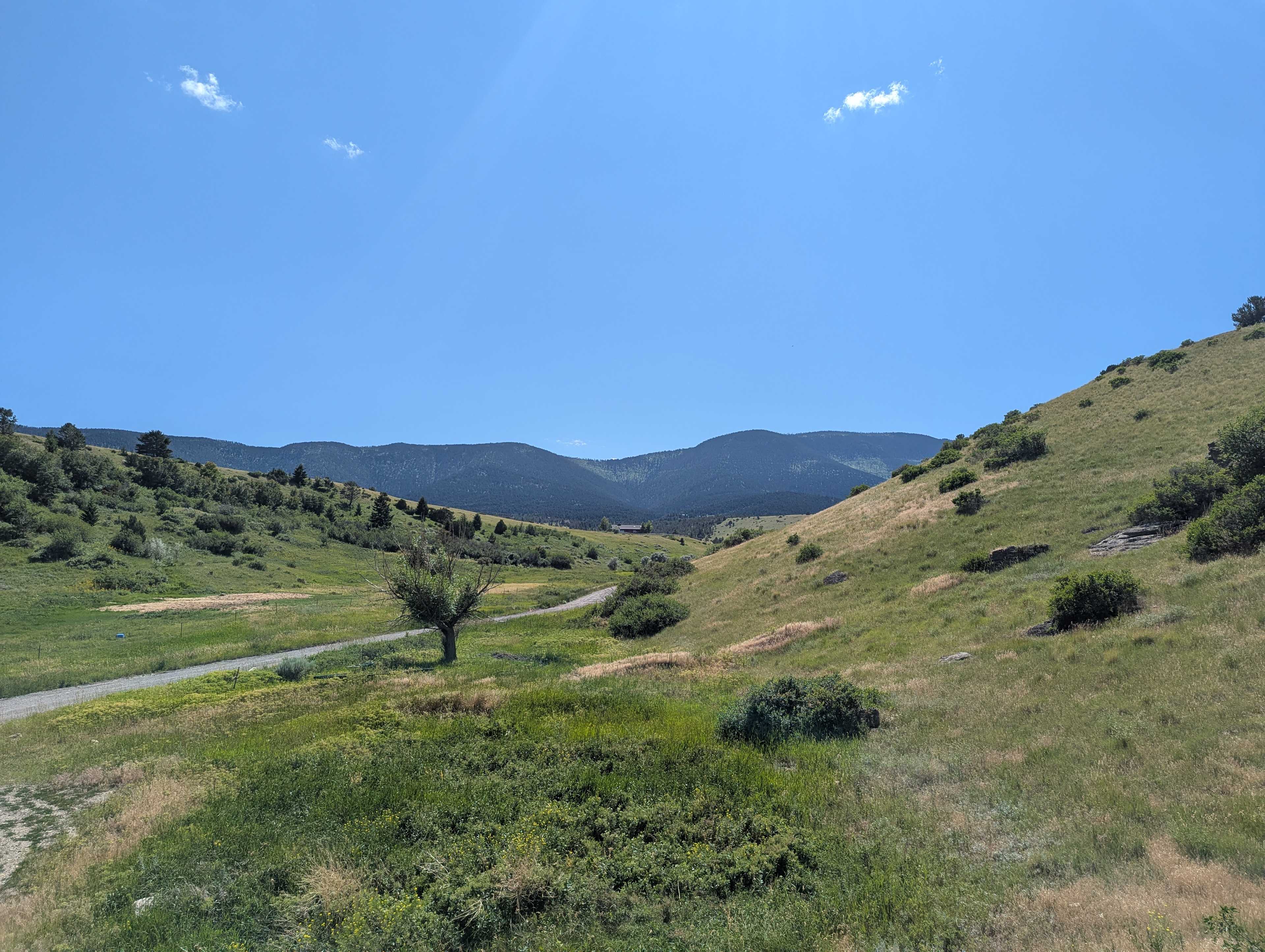 View from the site