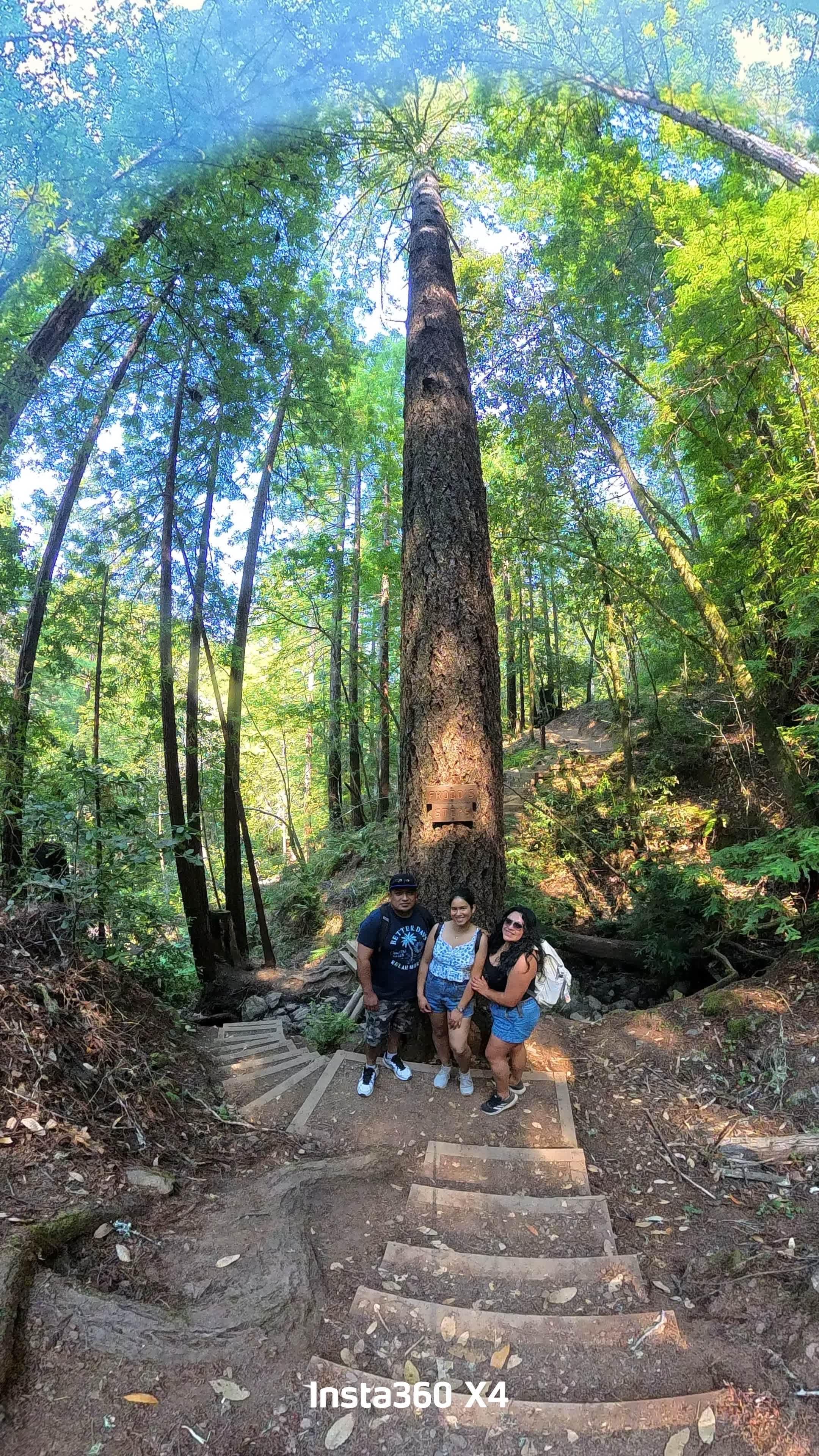 Cabins in W County Sonoma Redwoods