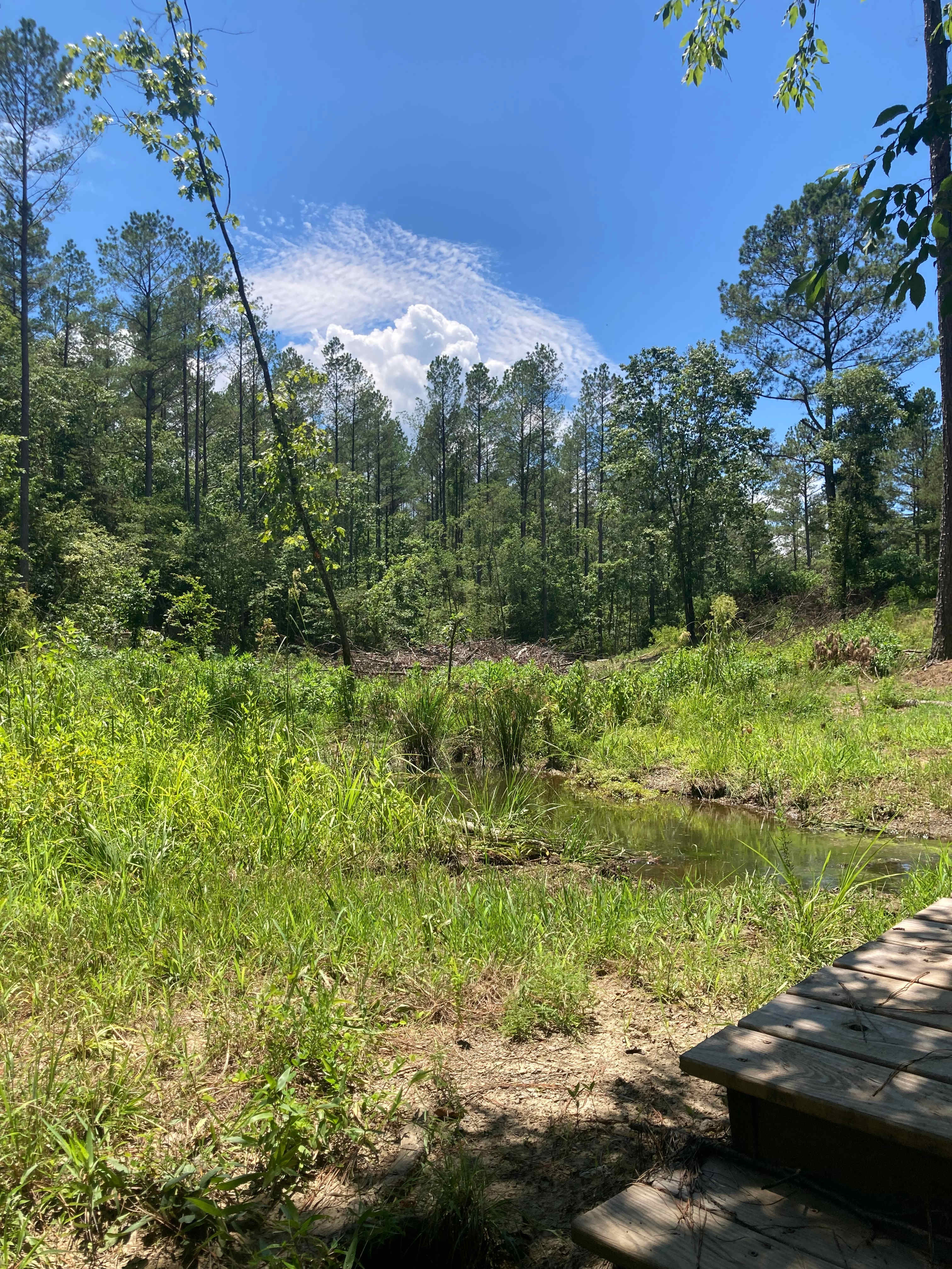 Thunder Mountain Private River Camp