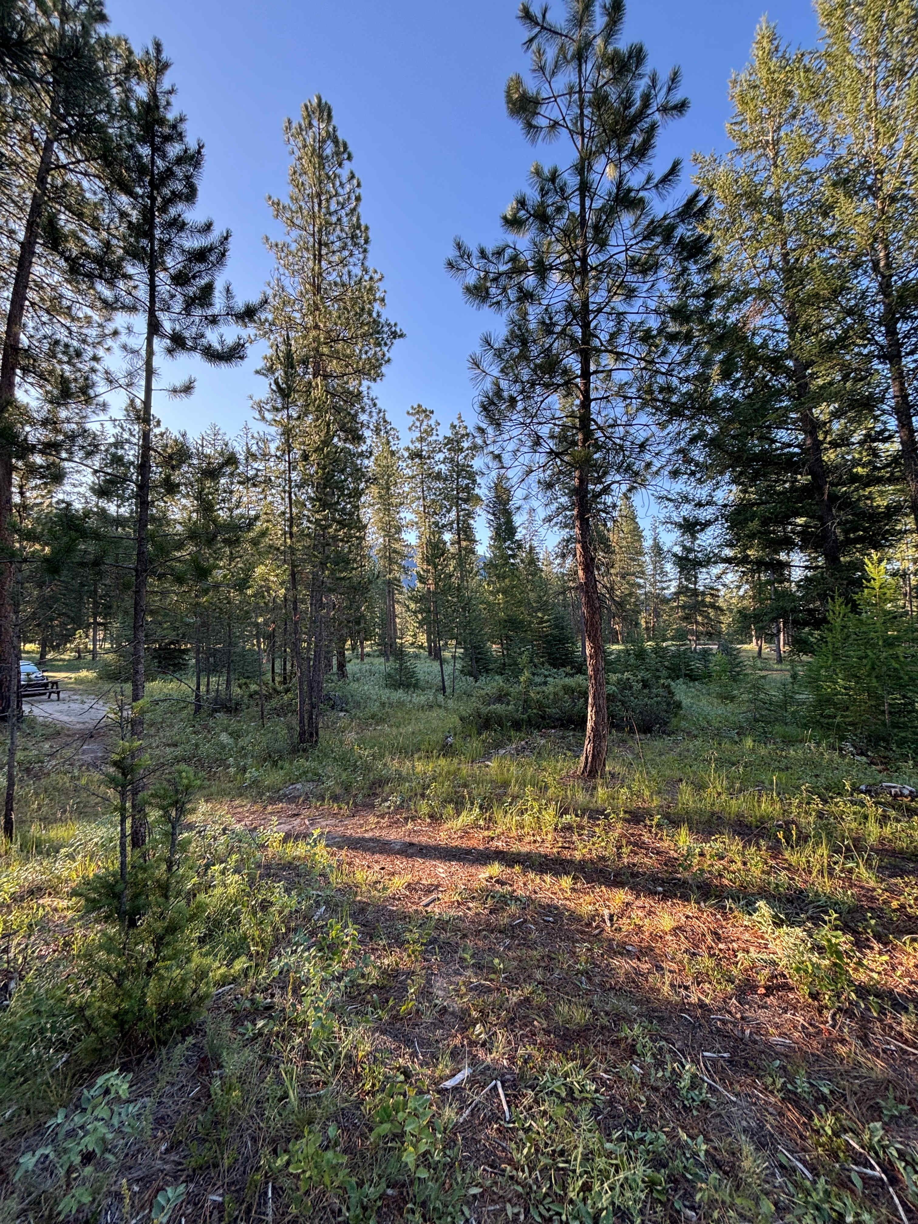 Our campsite! Incredible!