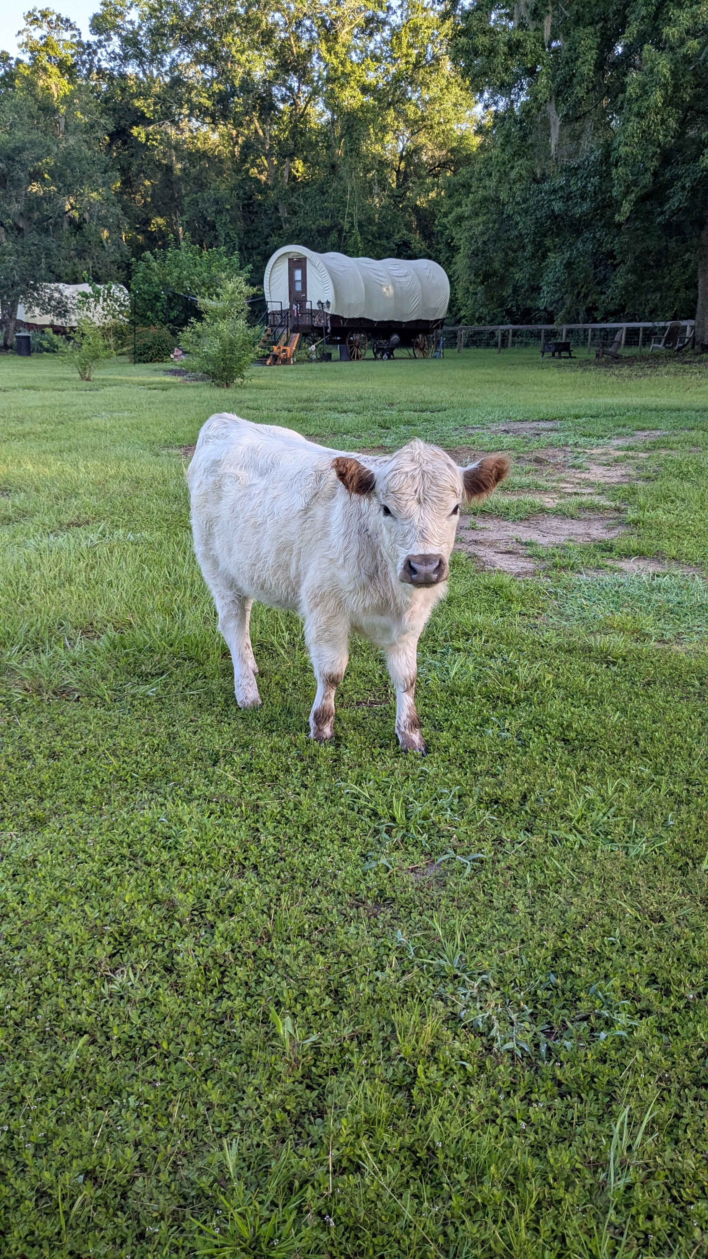 THE Farmstay for Animal Lovers!