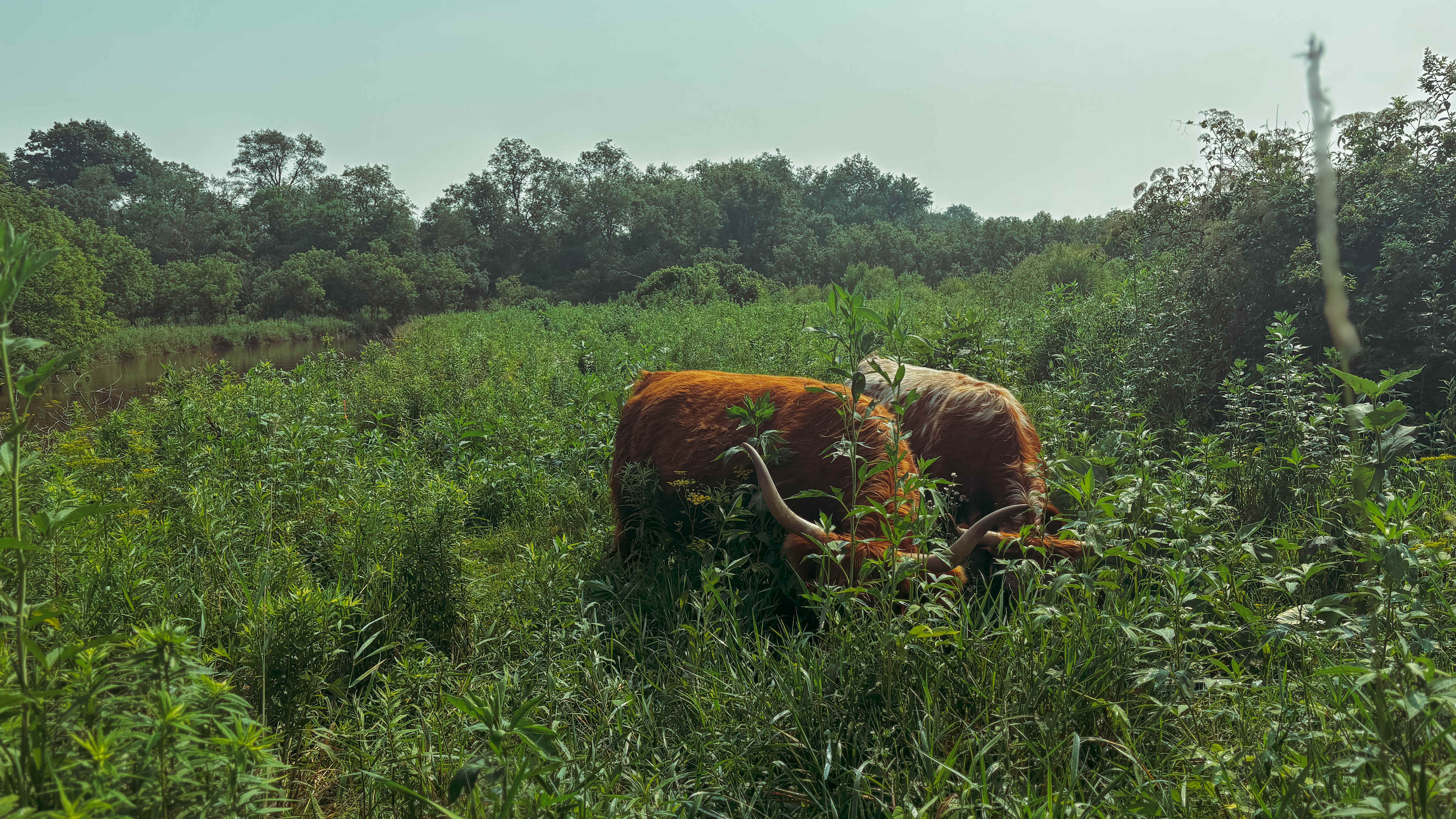 Driftless Farm-Stay at Pink River
