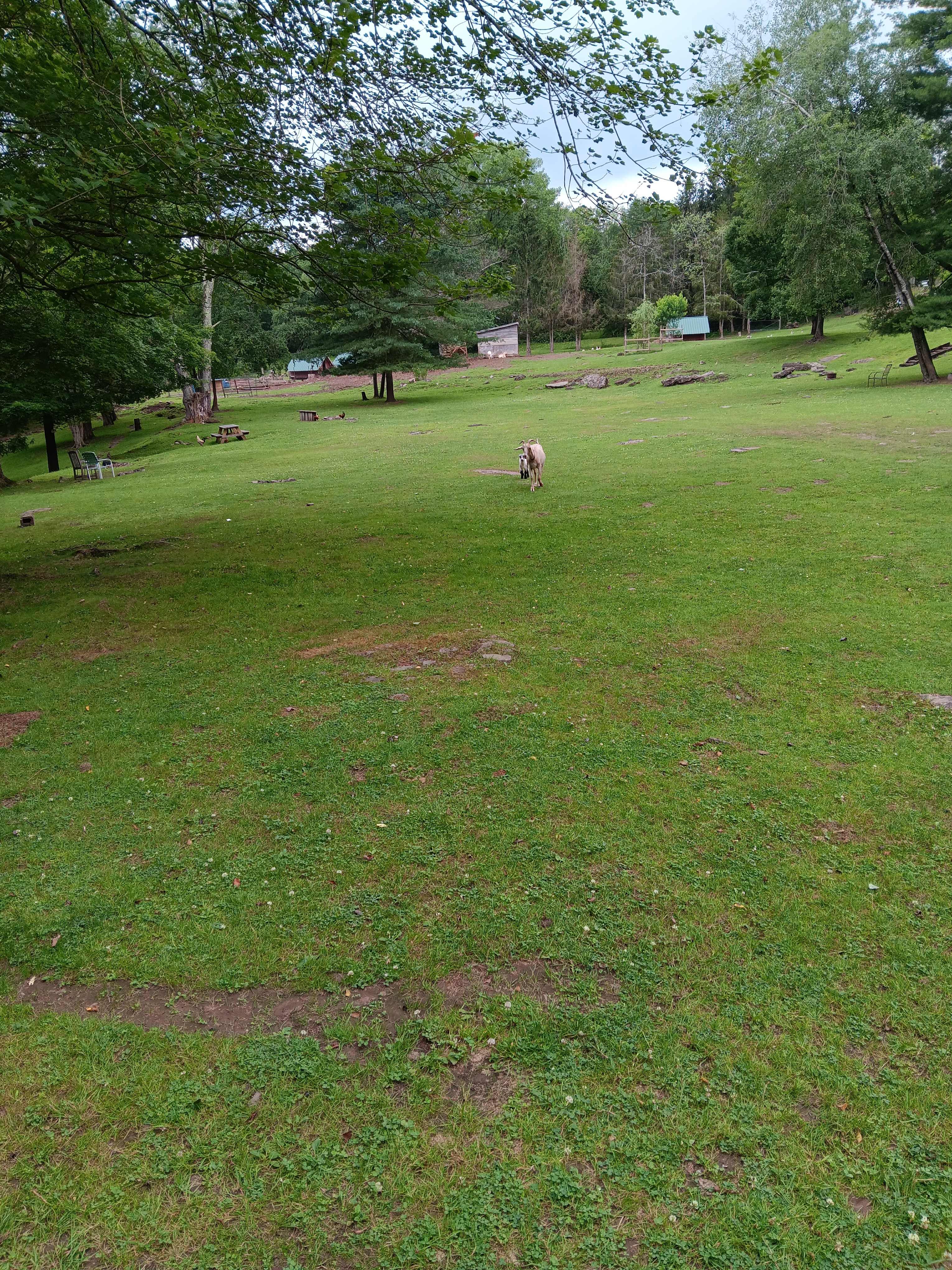 BeaverWood Farm (no children)