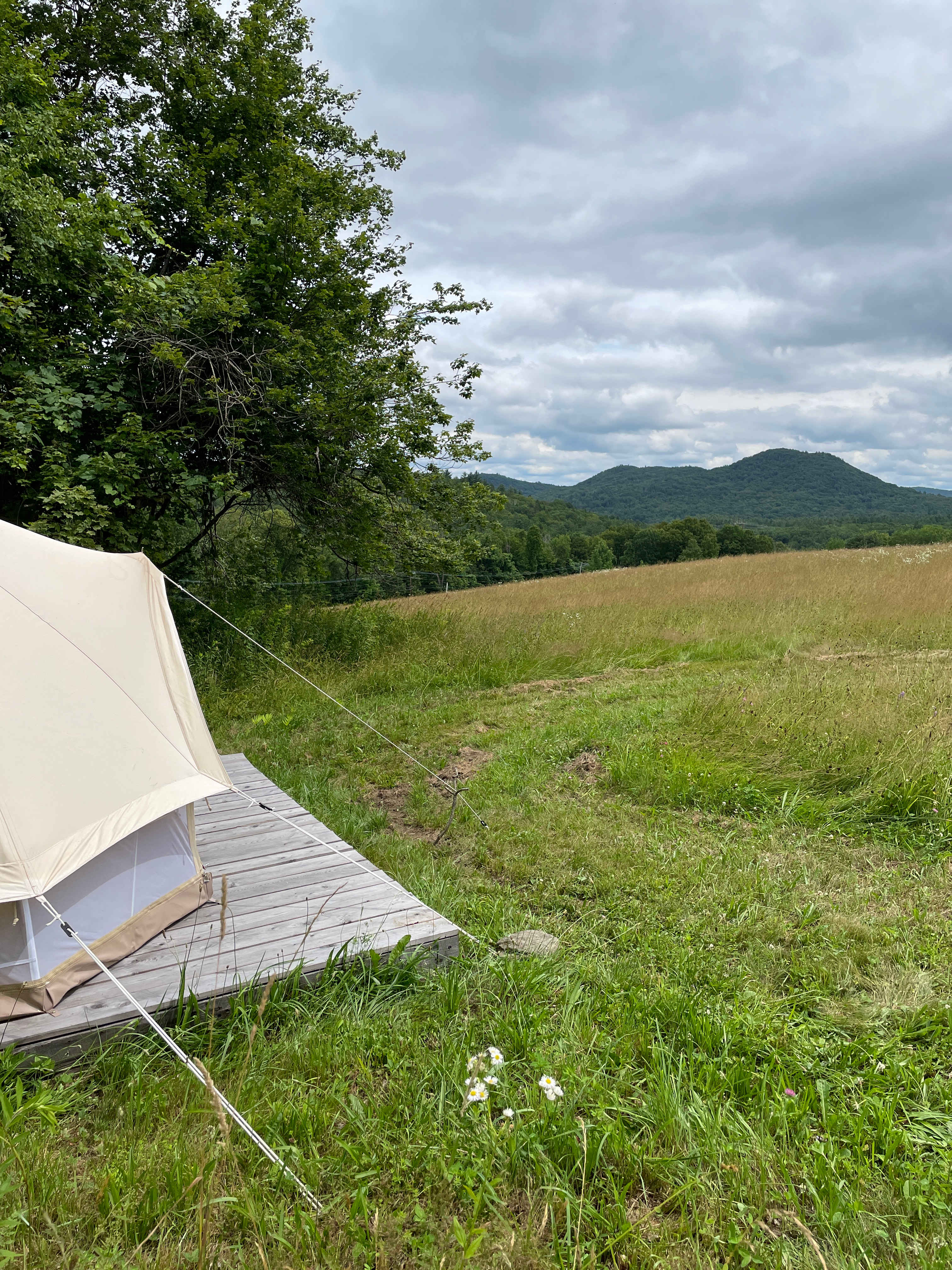 Glamping on an Herb Farm