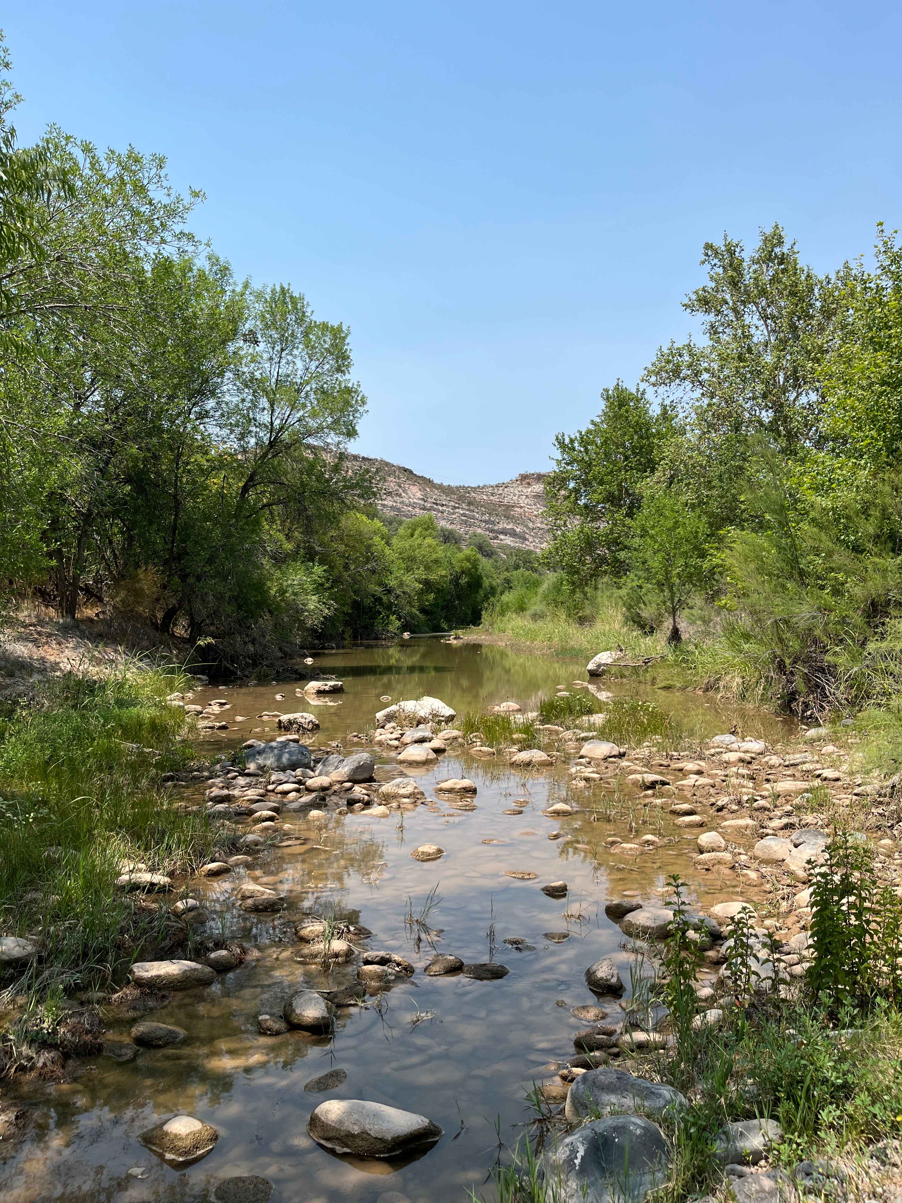 Nearby Beaver Creek 1