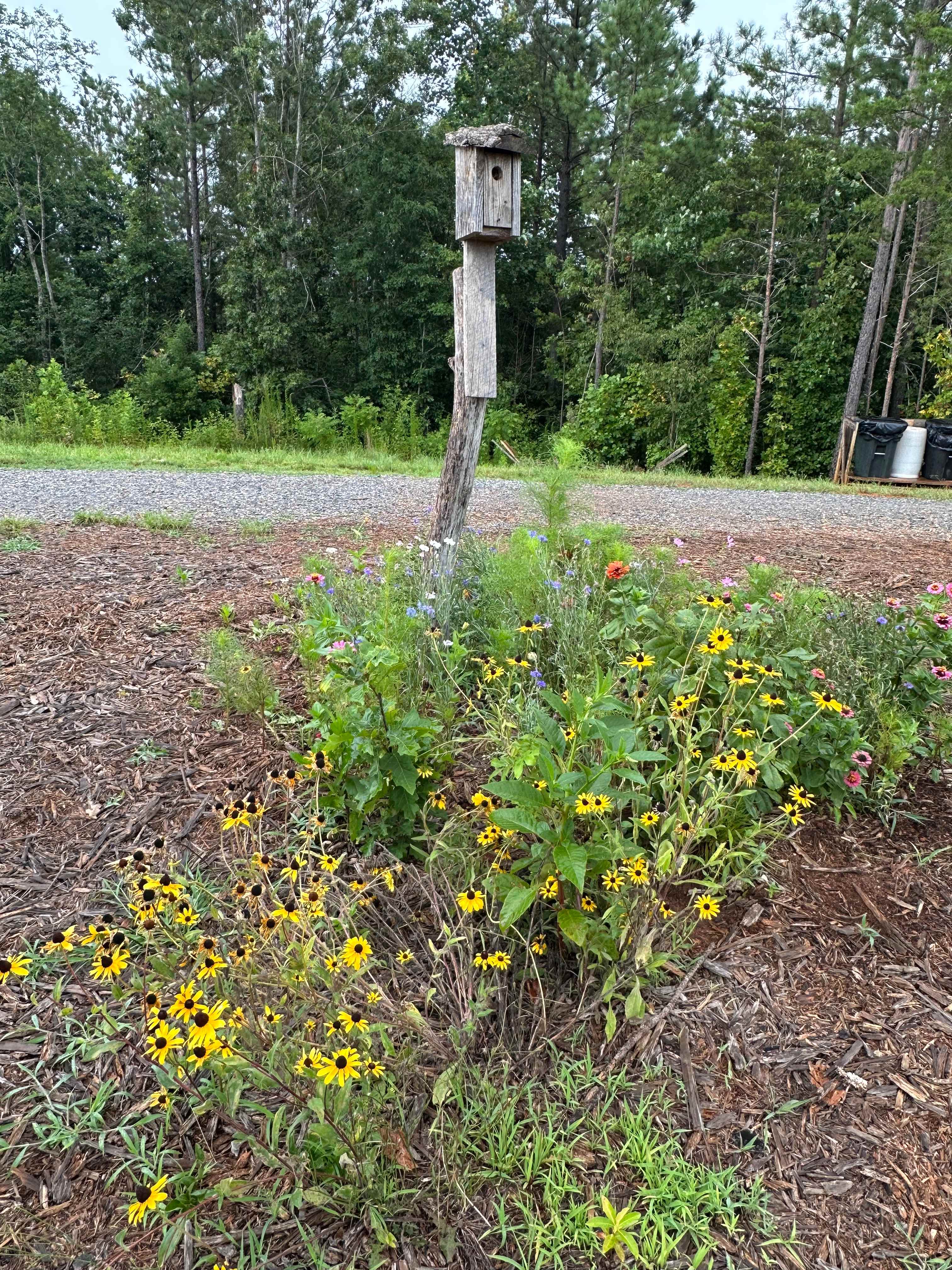 Tellurian Family Campground