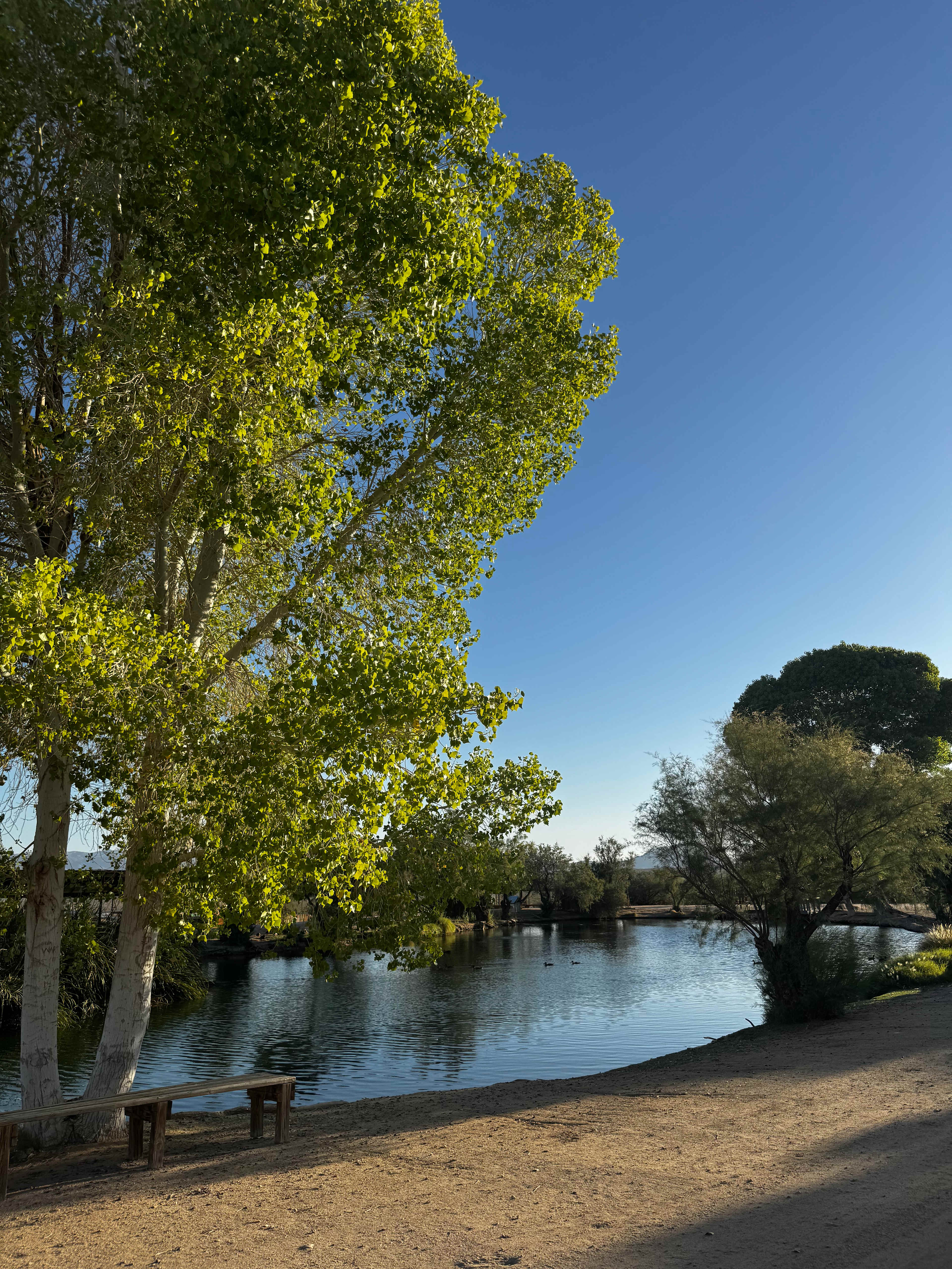 Joshua Tree Lake RV & Campground