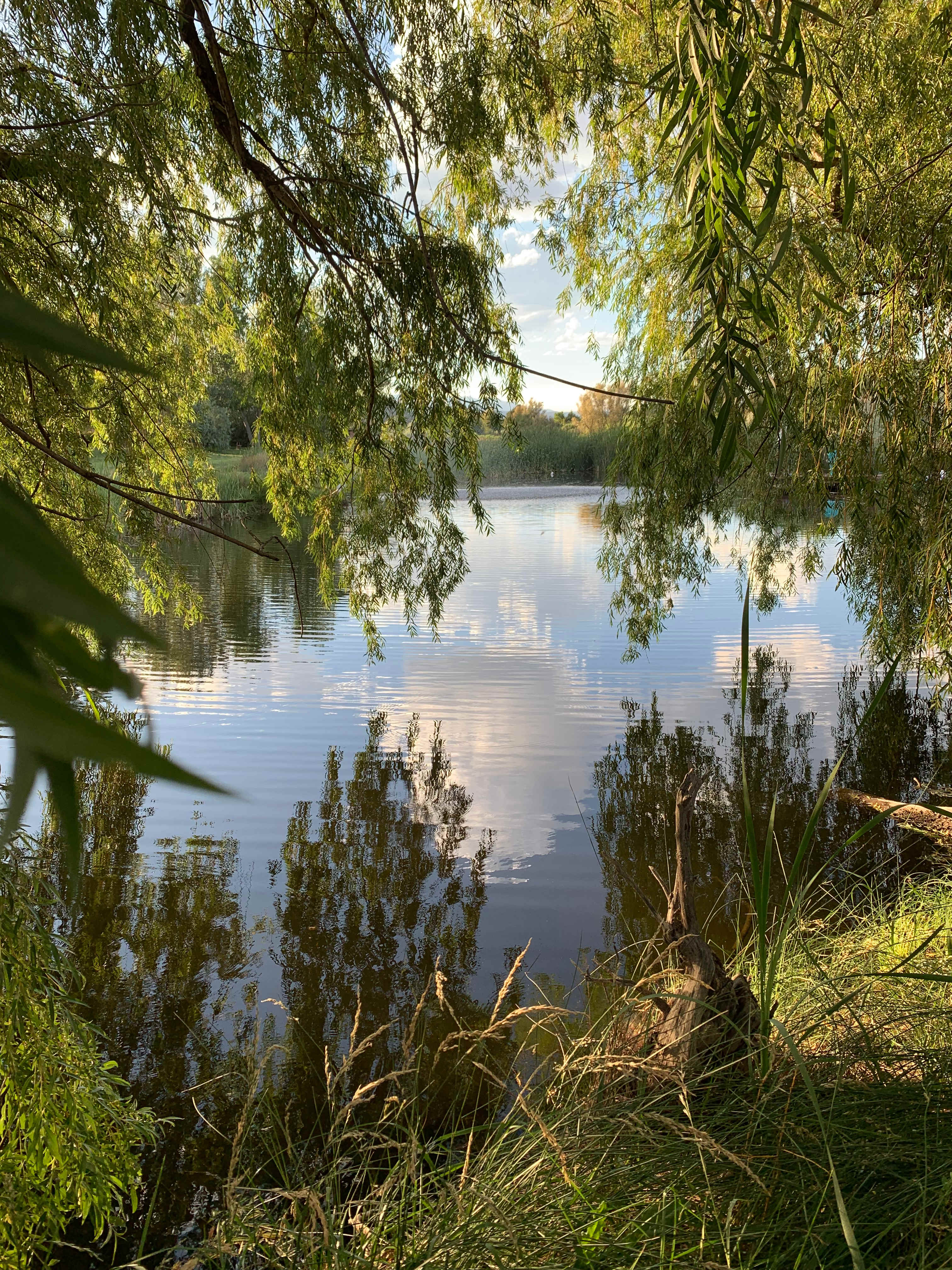 Agua de Vida