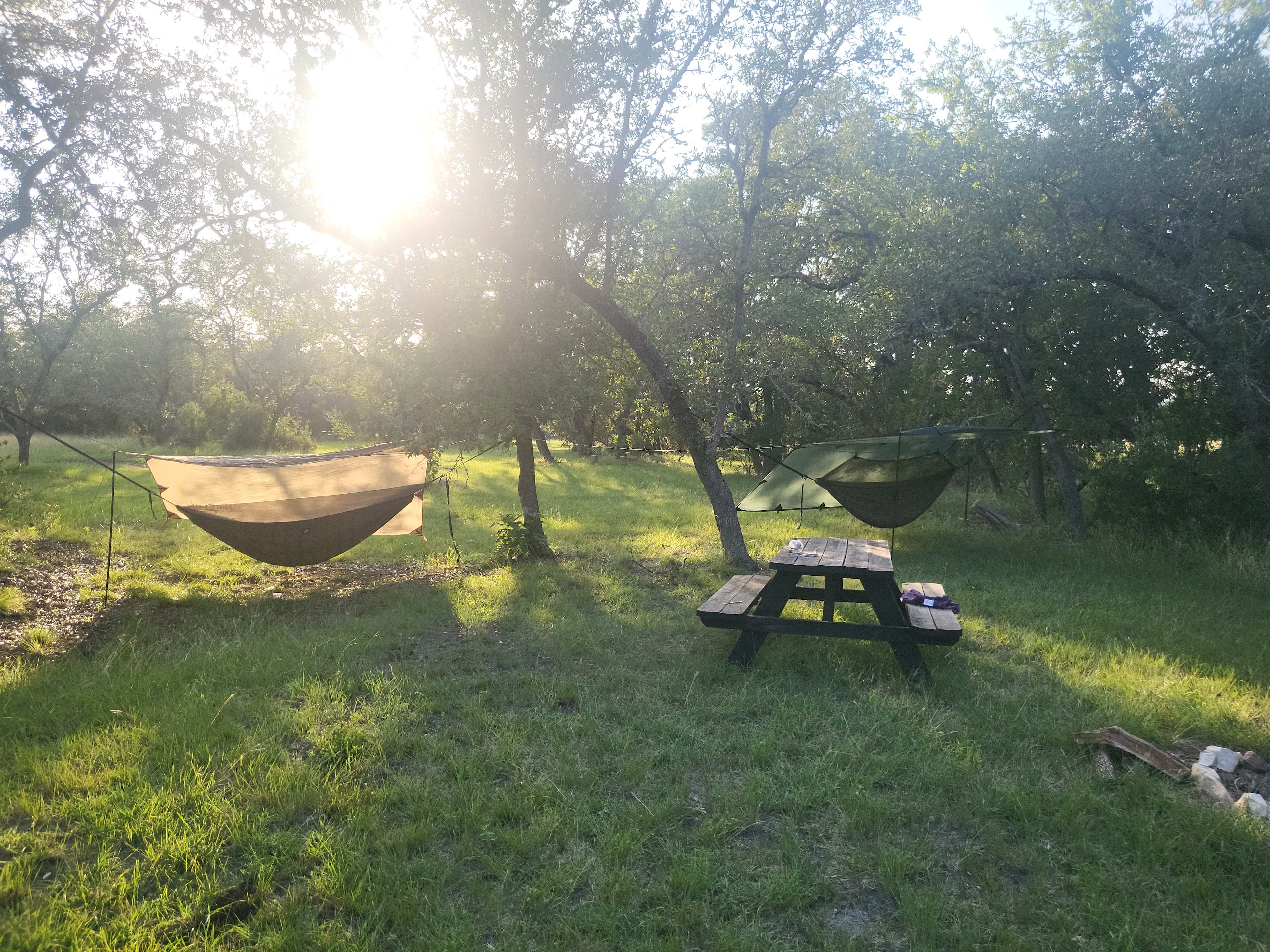 Hammock camping! Almost to far apart but we made it work ha ha
