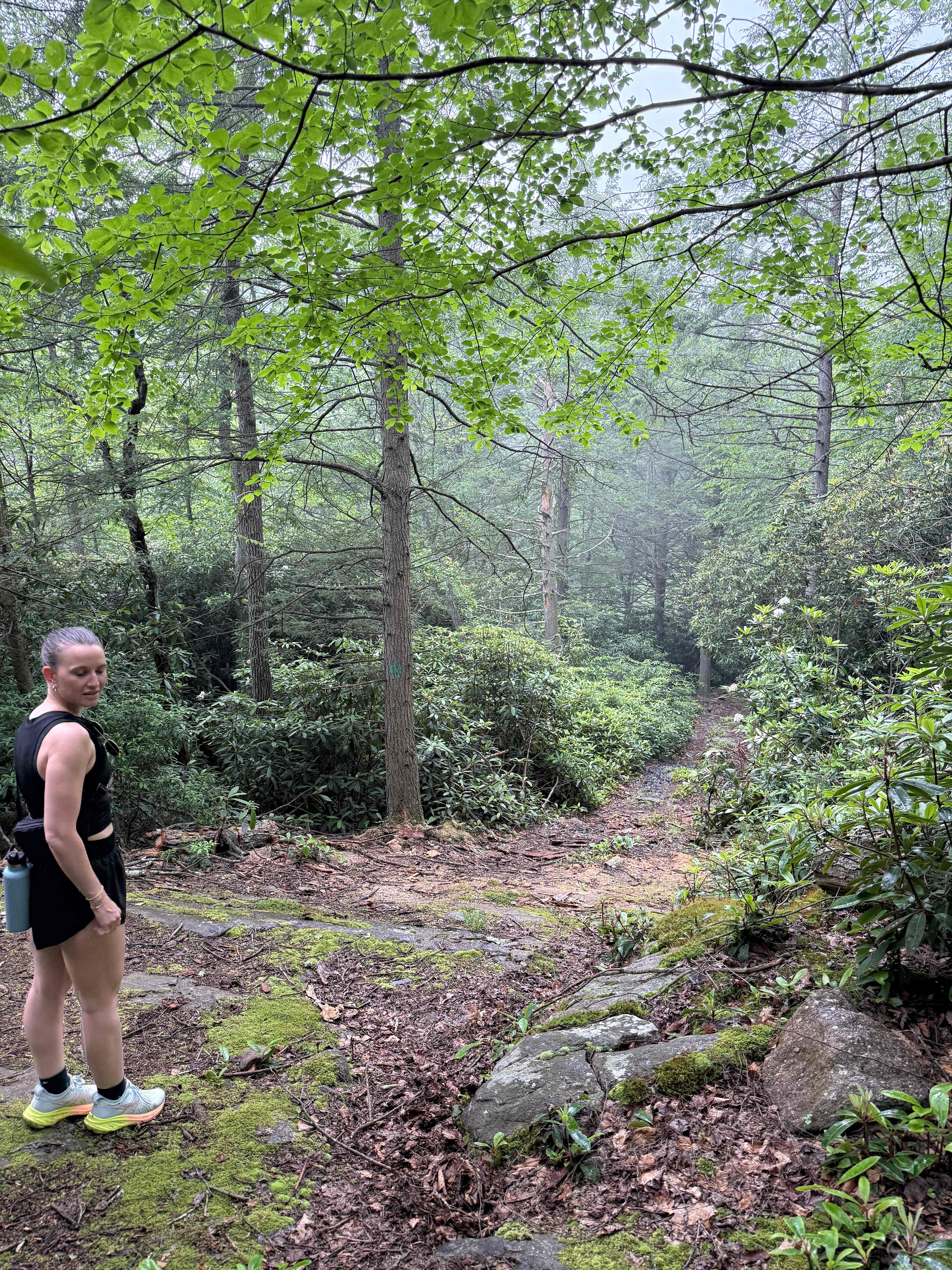 Camp Dietrich on Bear Creek