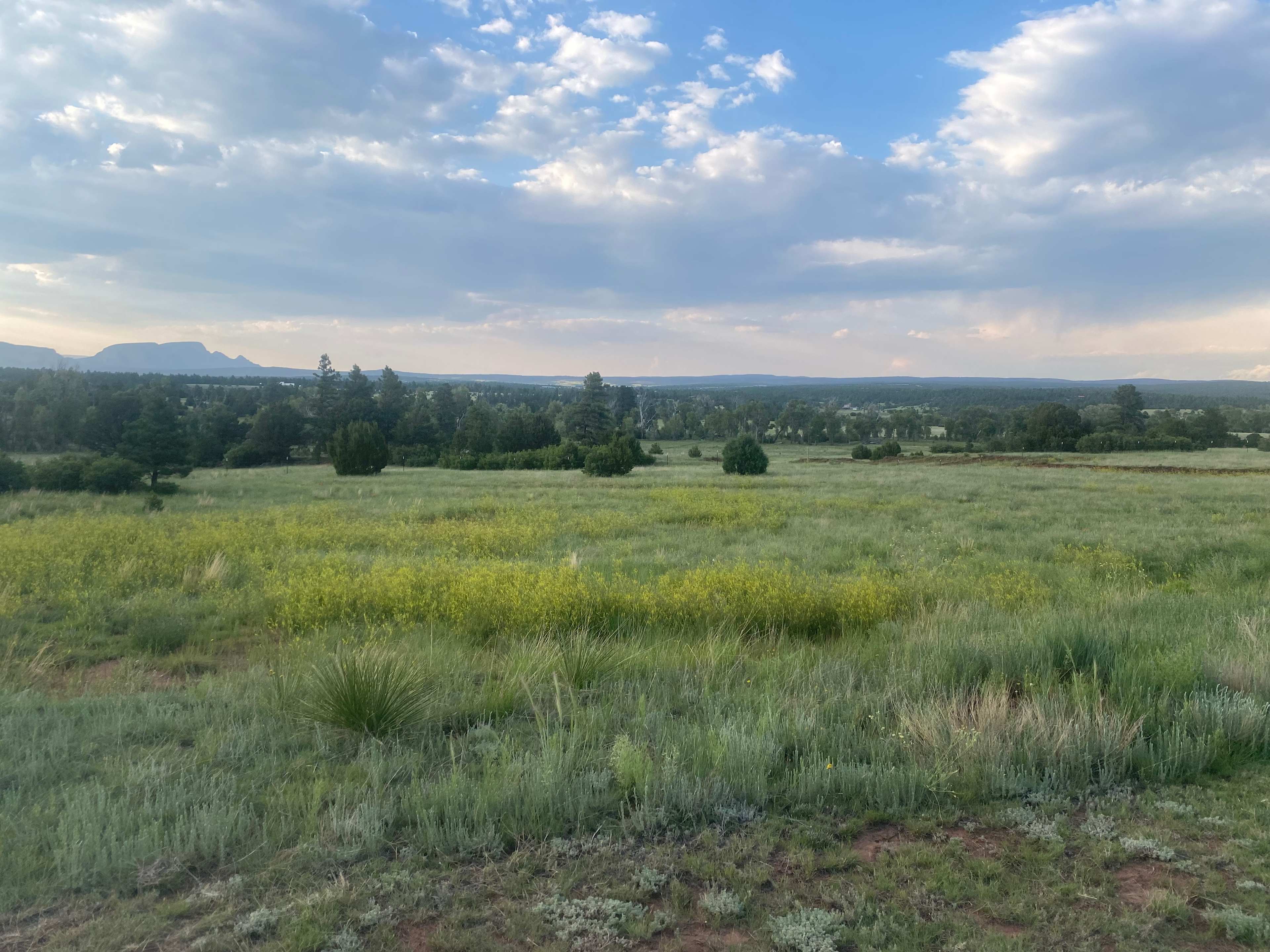 San Pablo Ranch