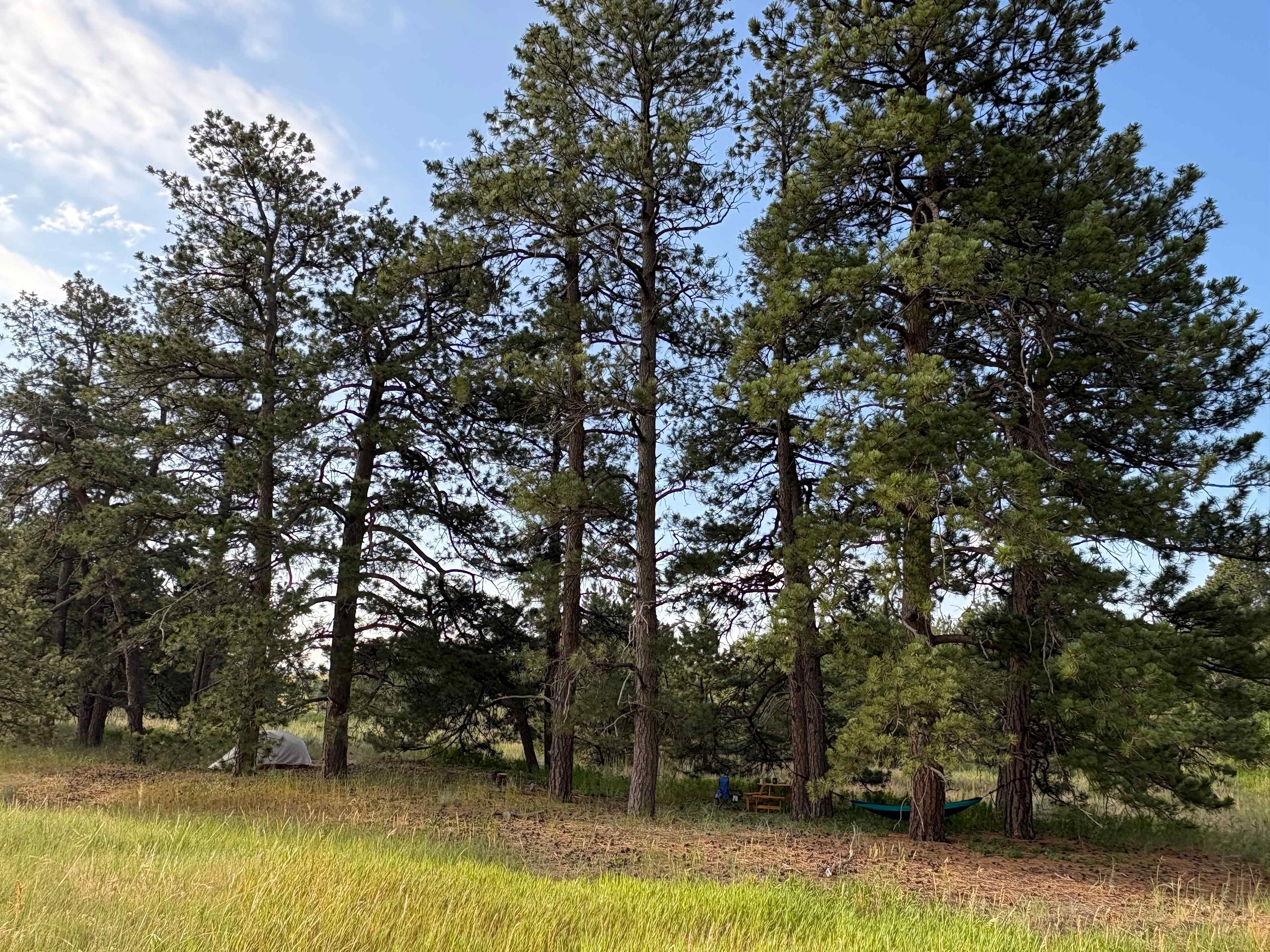 120 Acre Animal Sanctuary