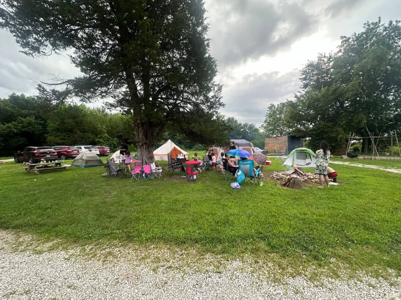 B Berry Farms & Co.