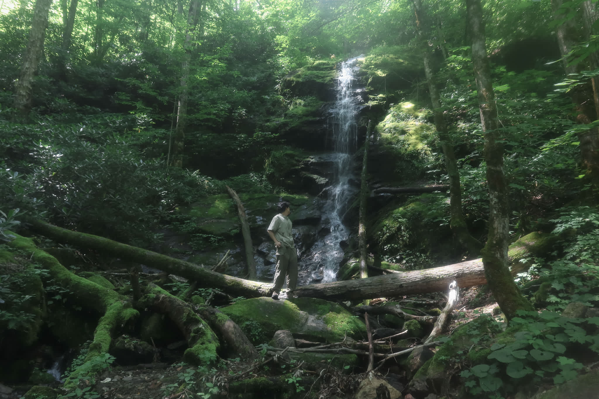 Creekside Camping Max Patch