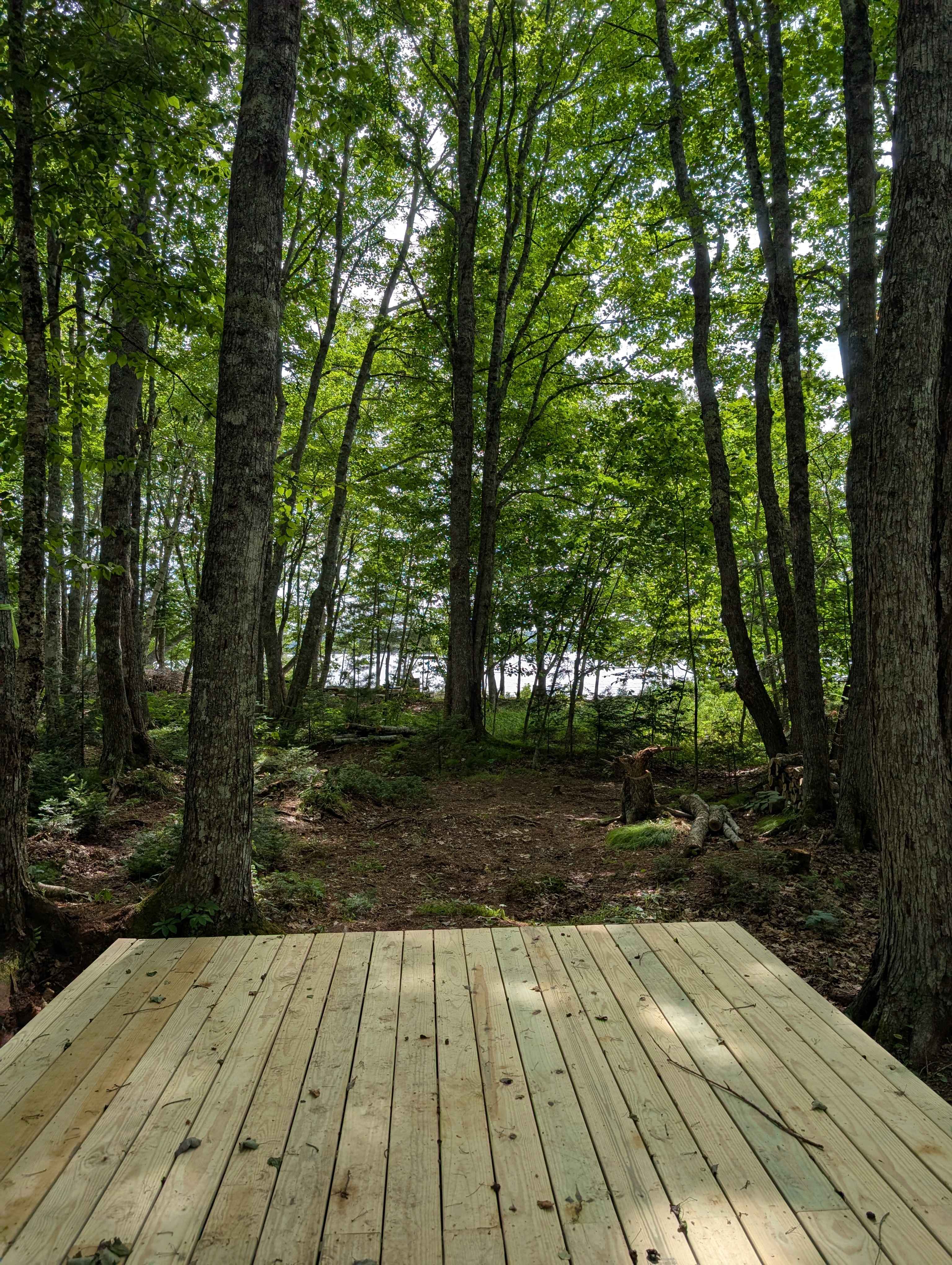 Picture of the site