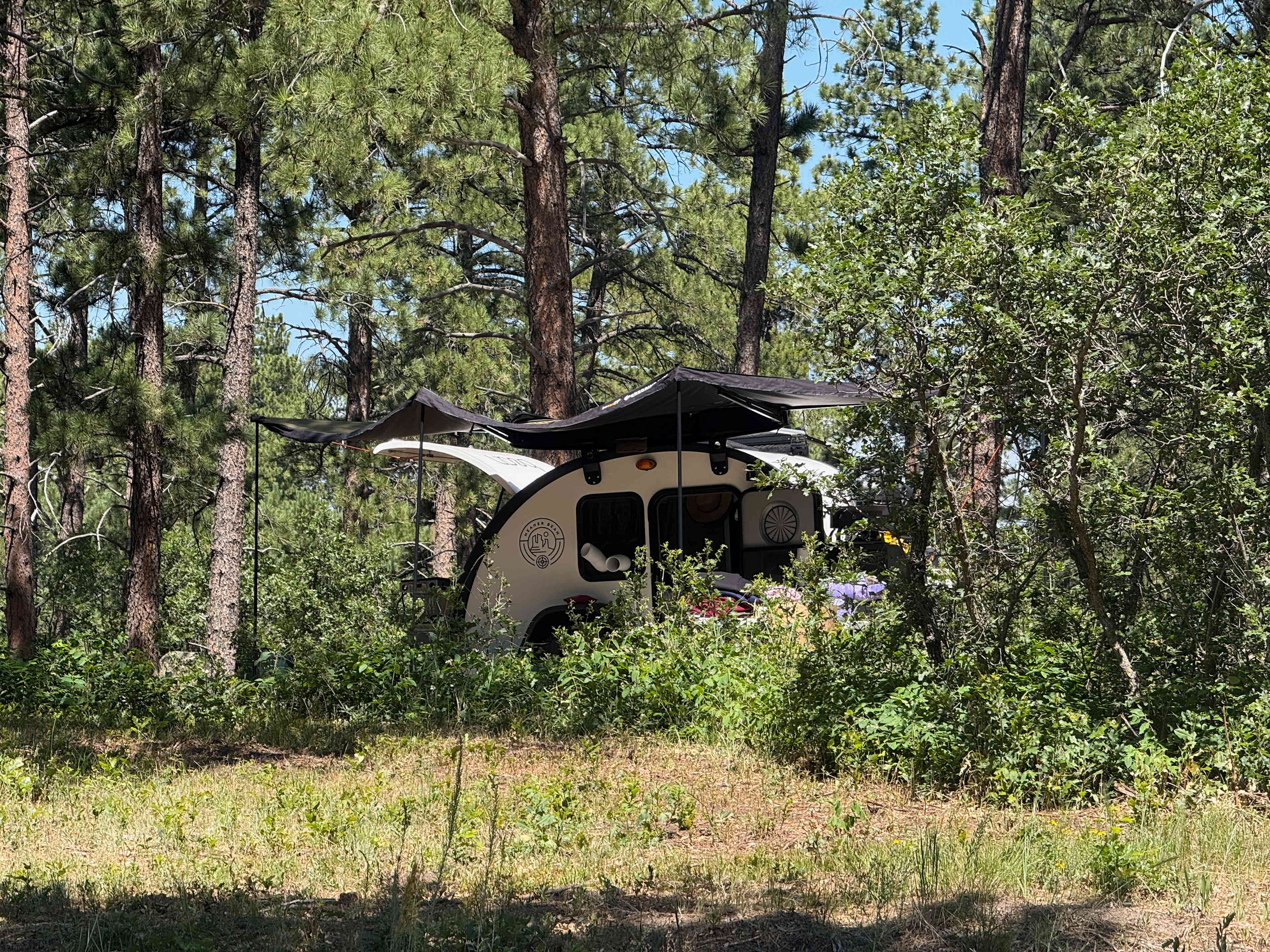 Standiford Goat and Equine Ranch