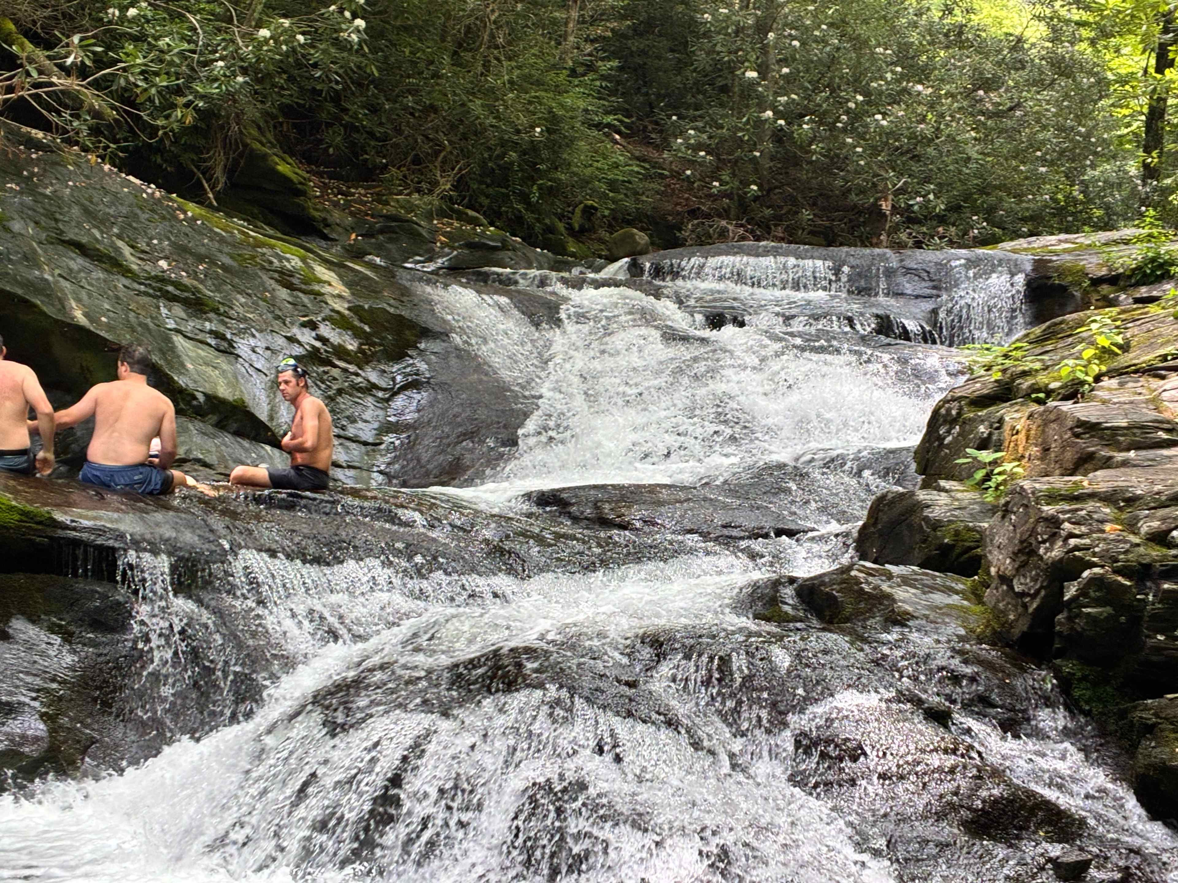 Ash Grove Cabins and Camping