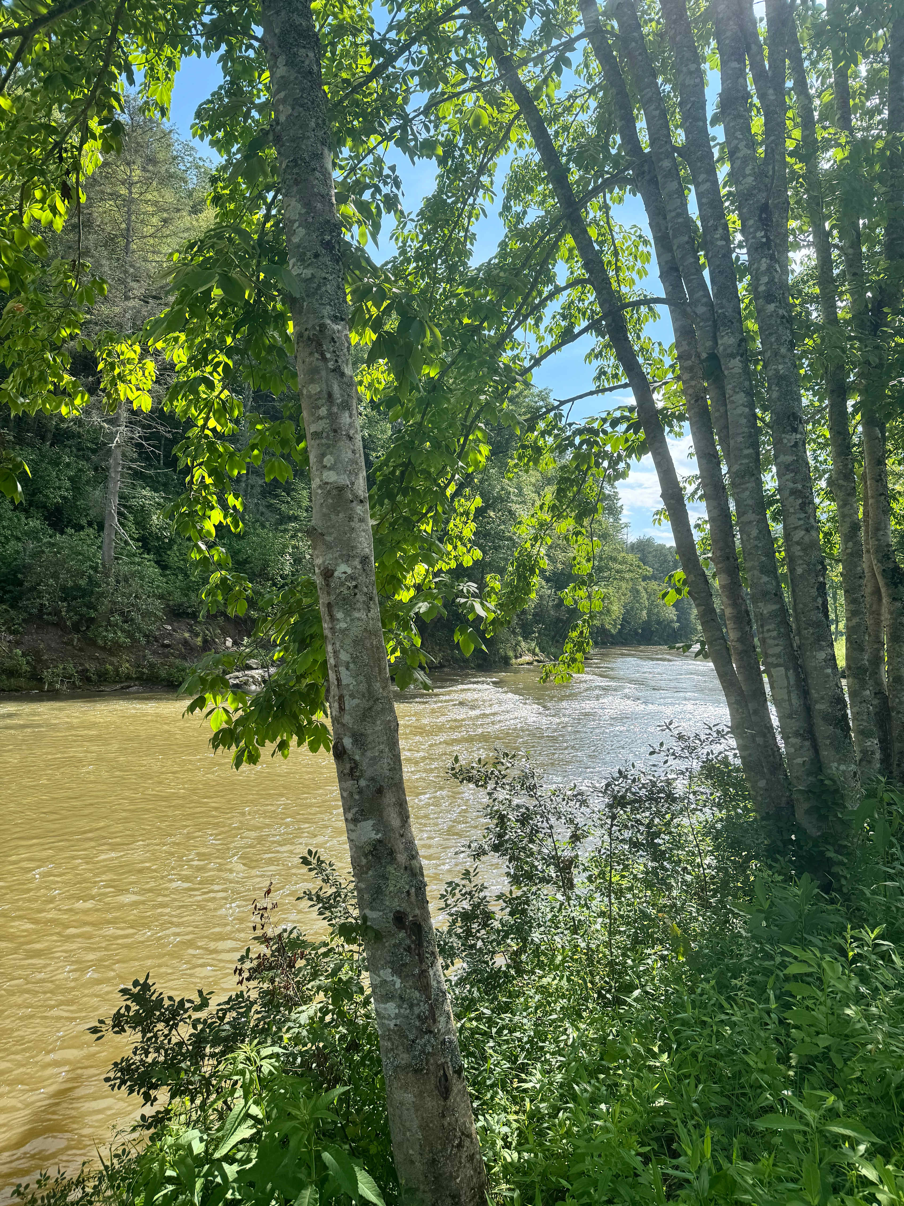 Hidden River Experience