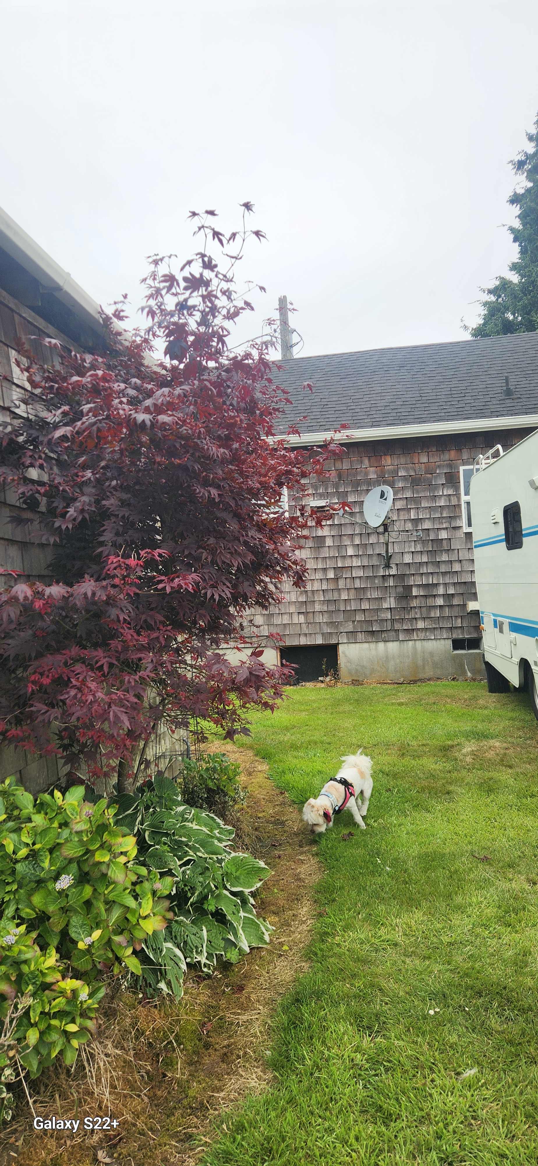 Abby's Place