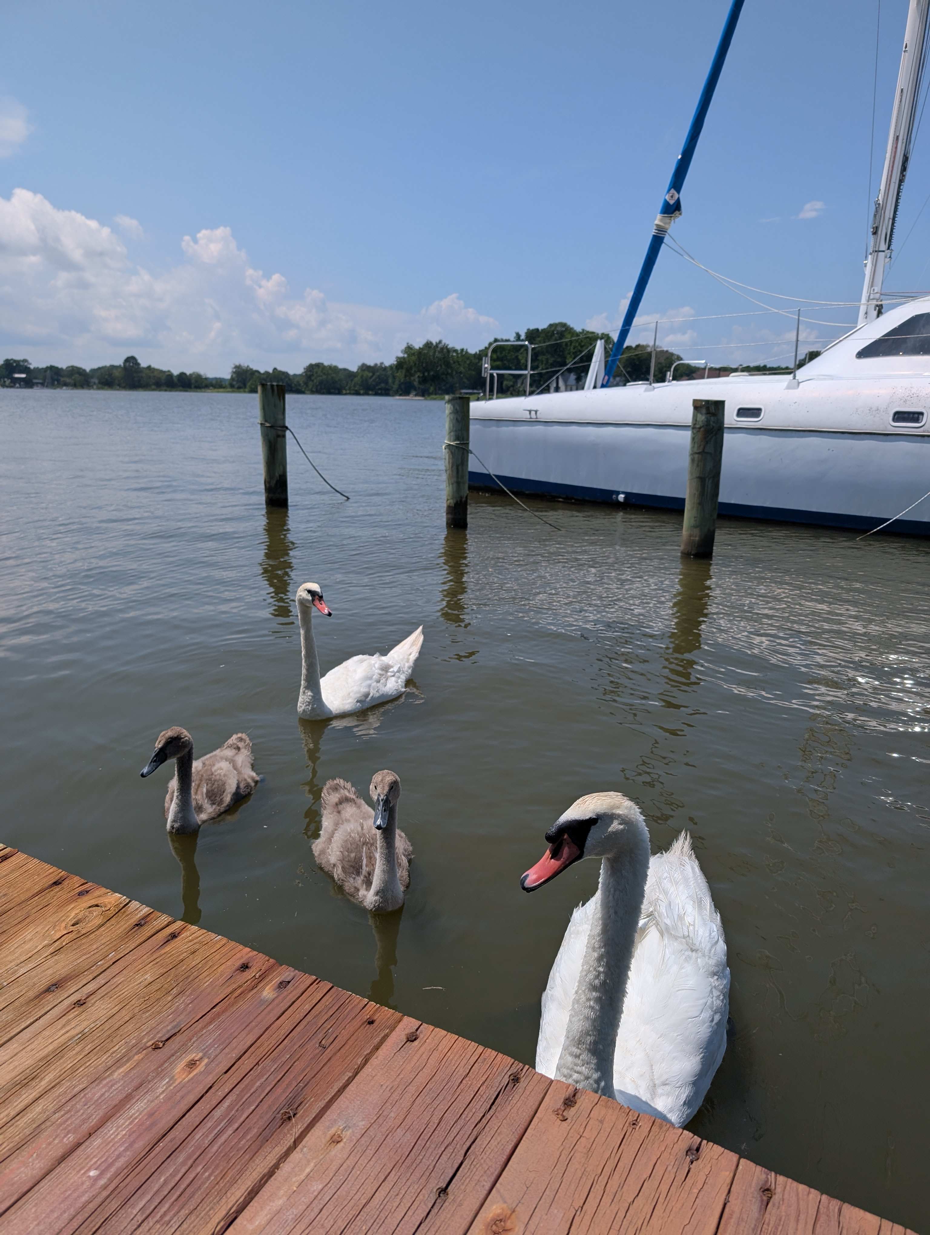 Harbor View Circle RV Site