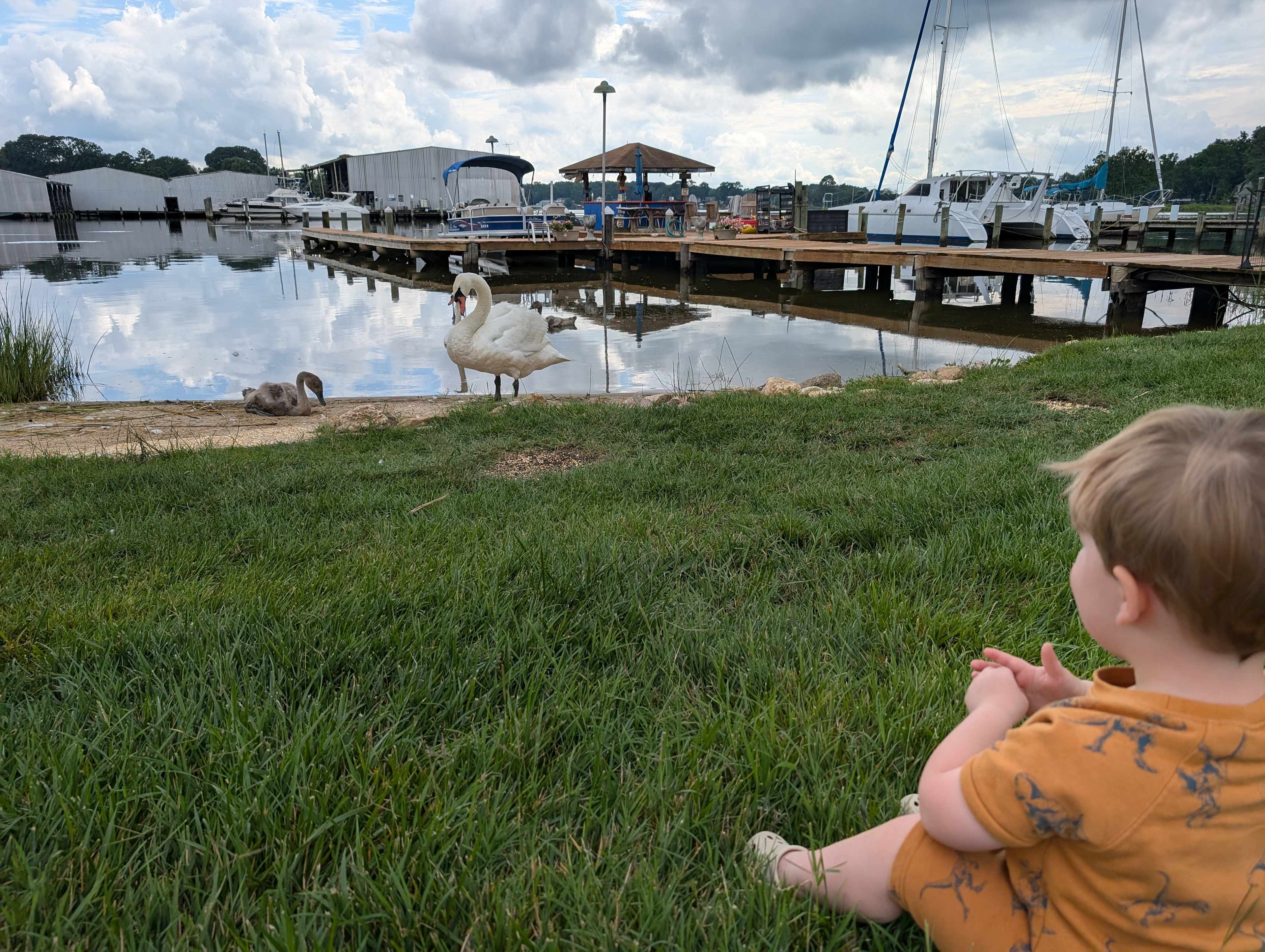 Harbor View Circle RV Site
