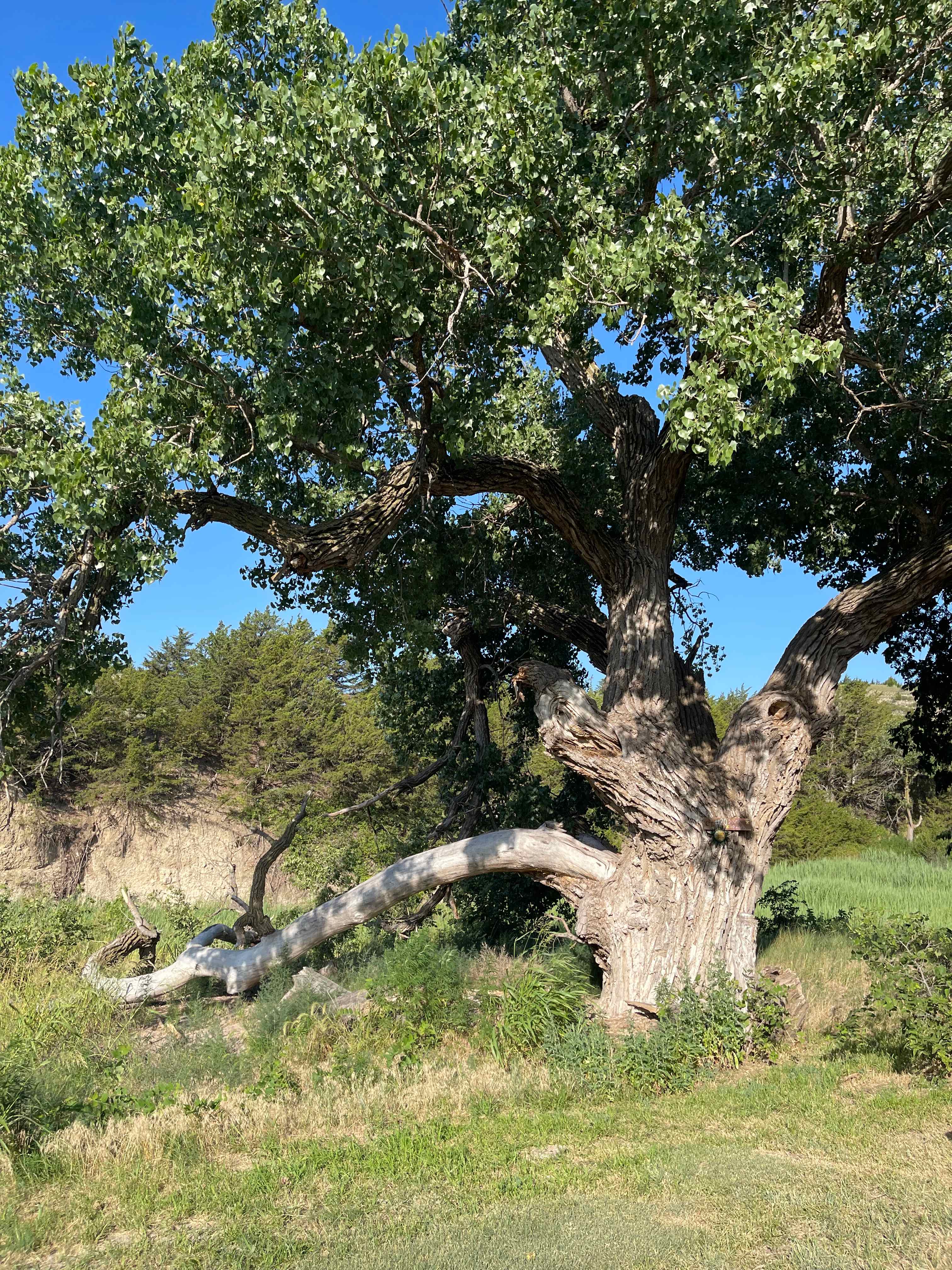 C2T Ranch on the Saline River