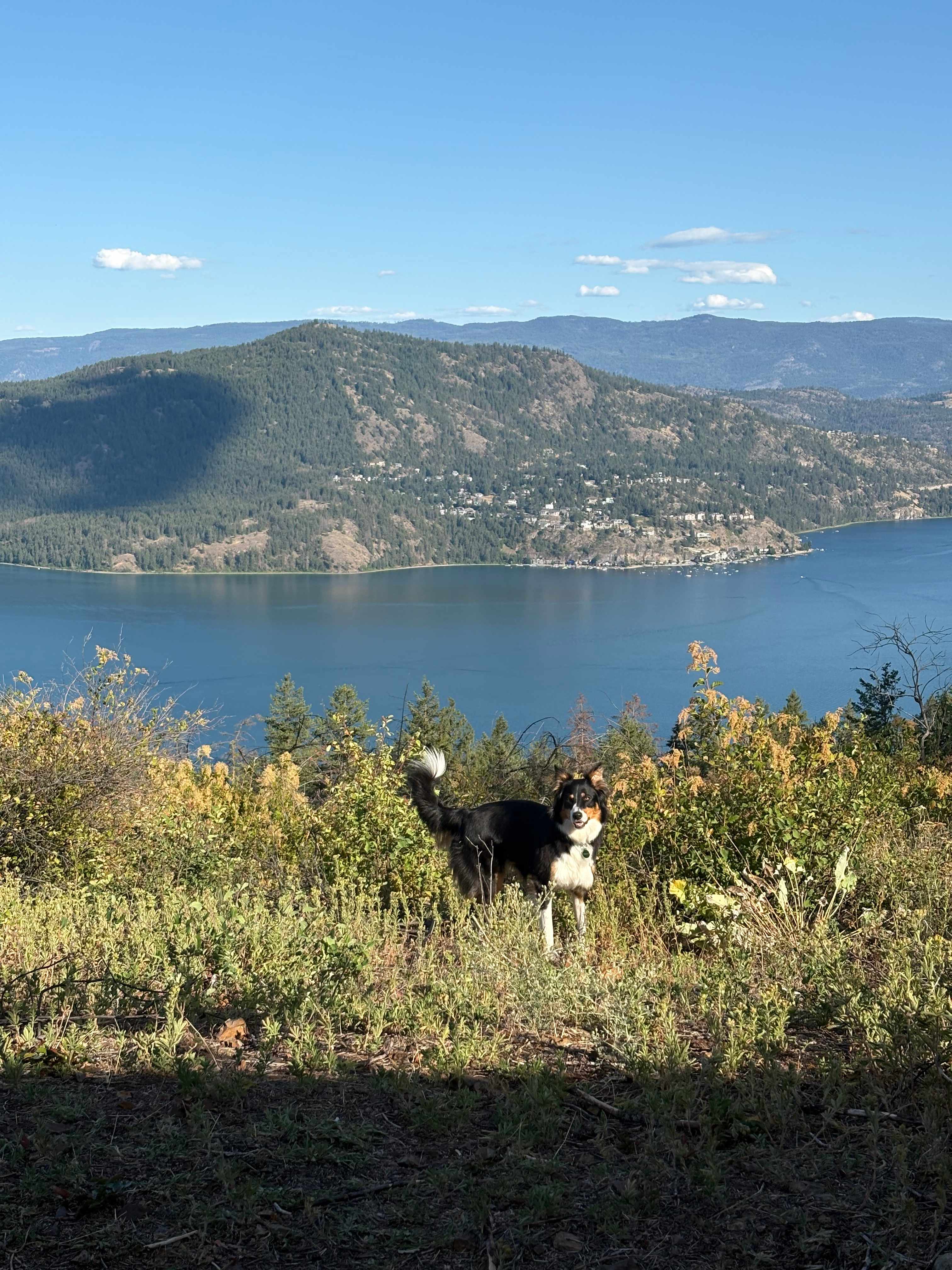 SkyRidge Lookout