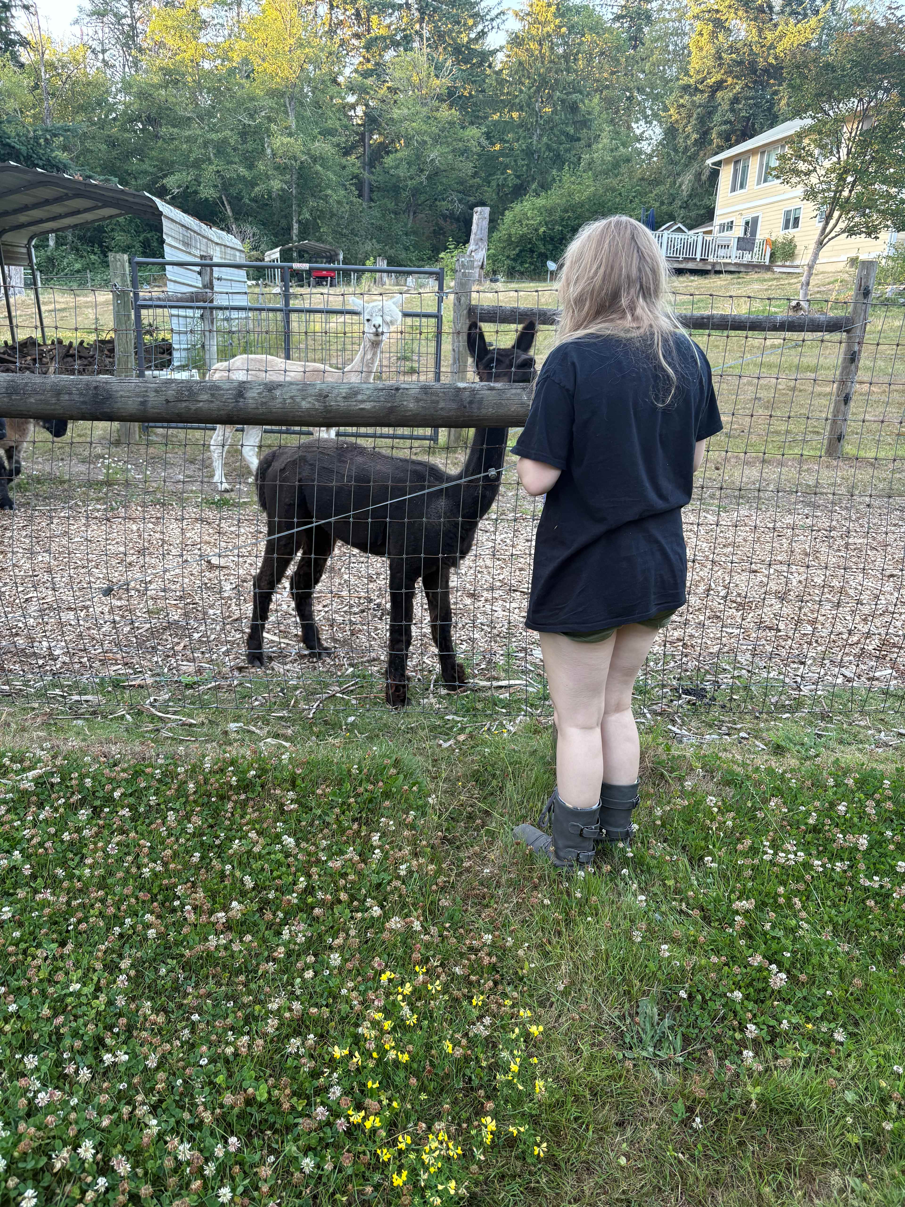 Highlight was feeding them!