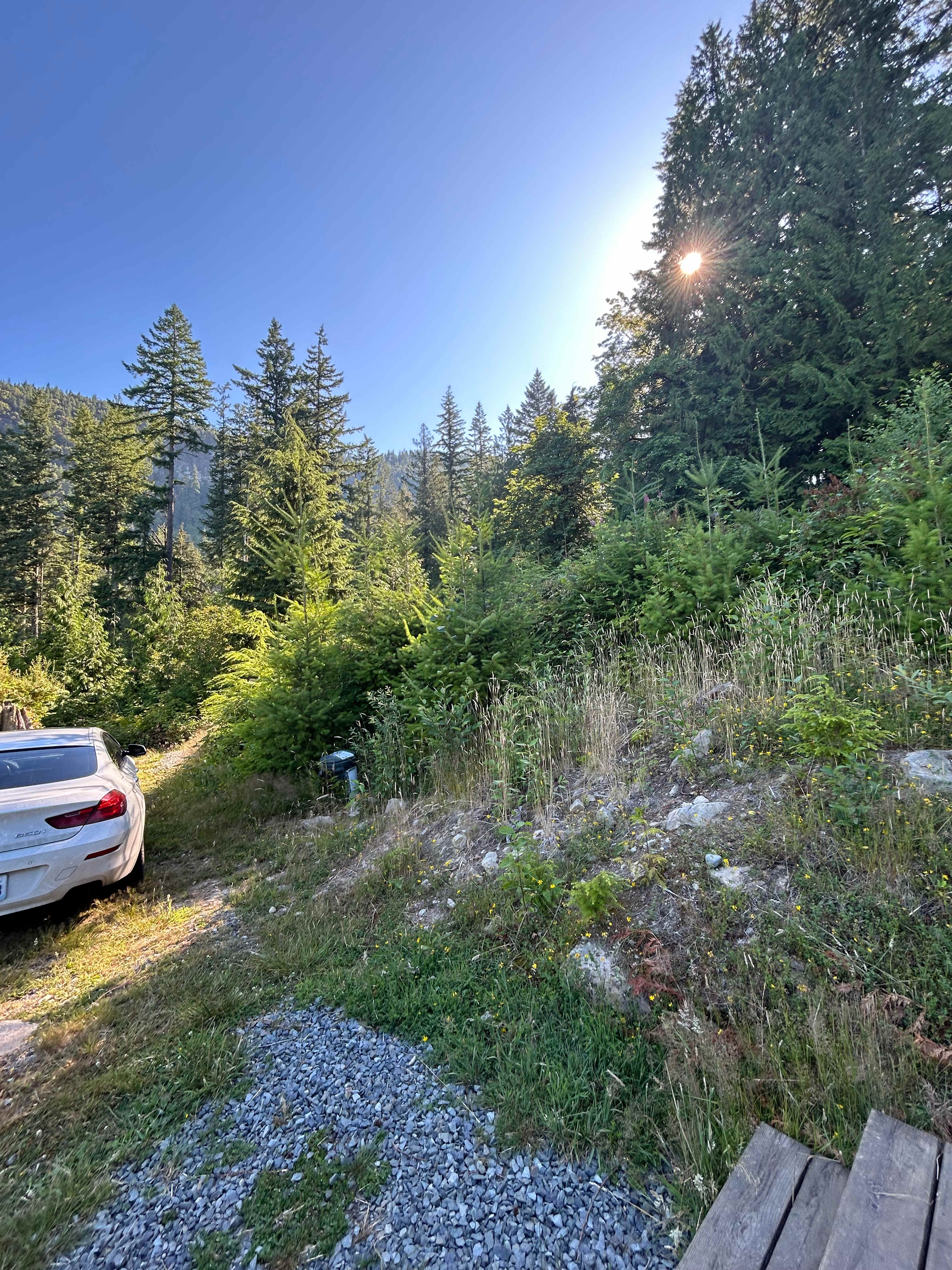 Valhalla Tree Farm
