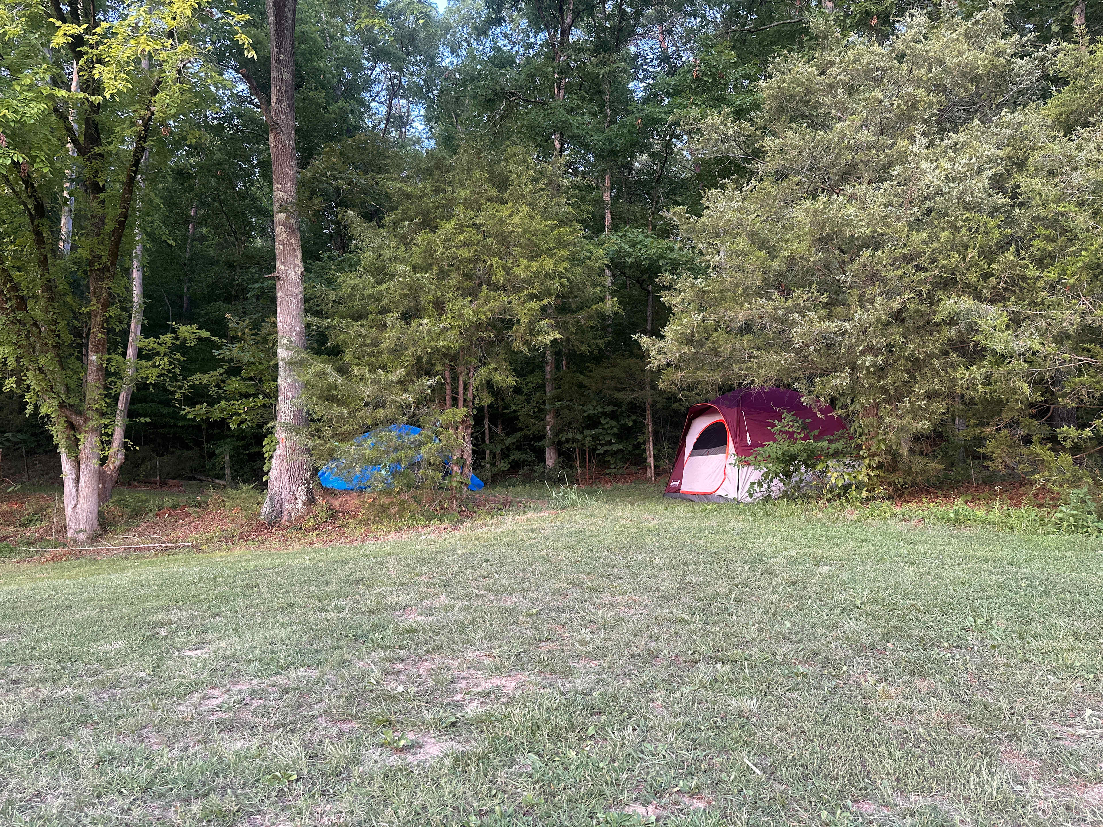 Harmony hollow
