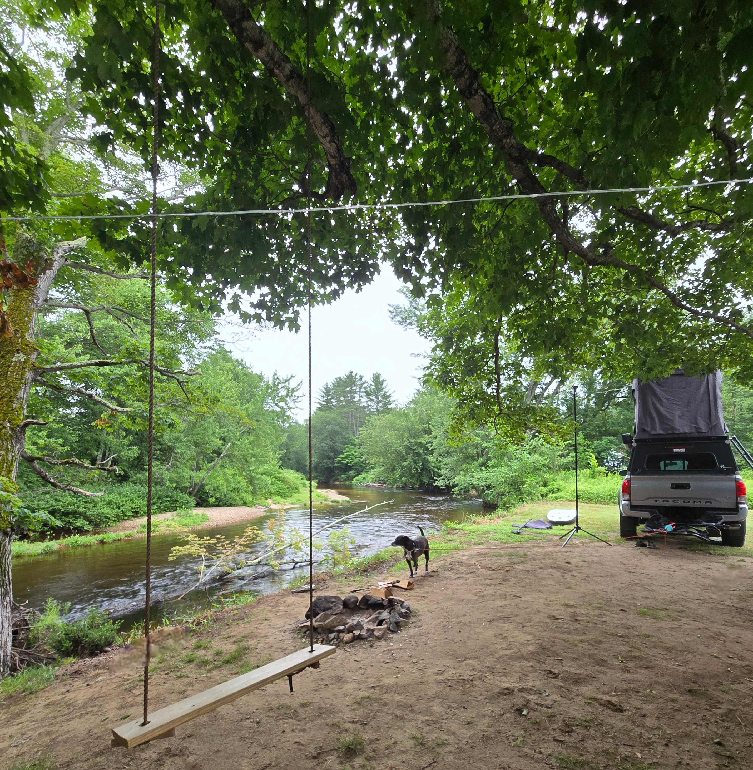Site #3