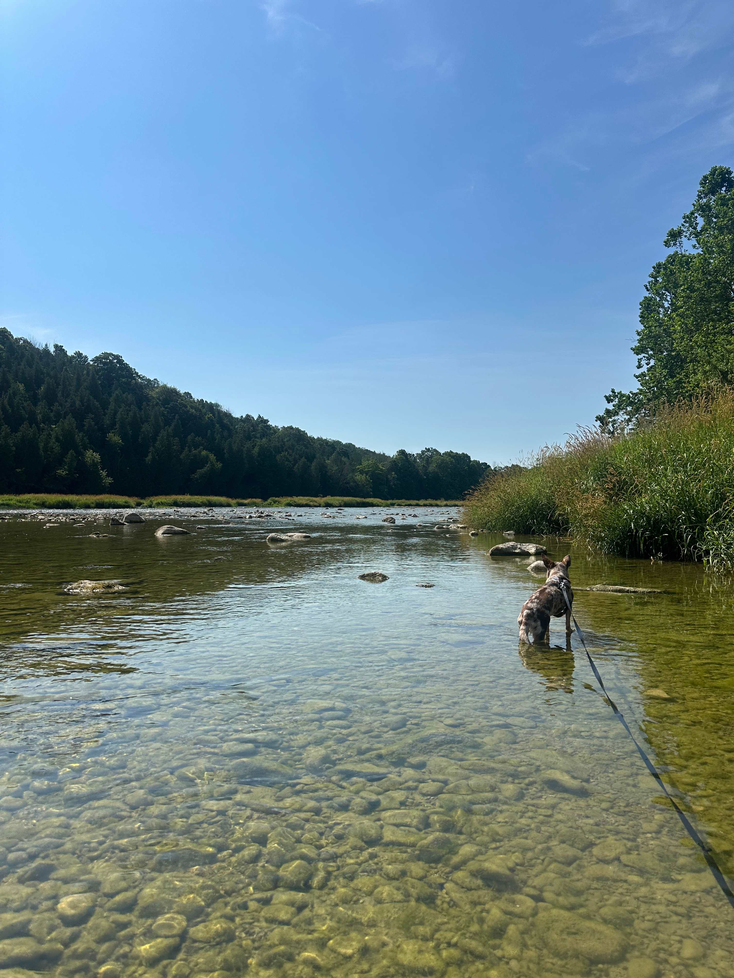 The Riverbend