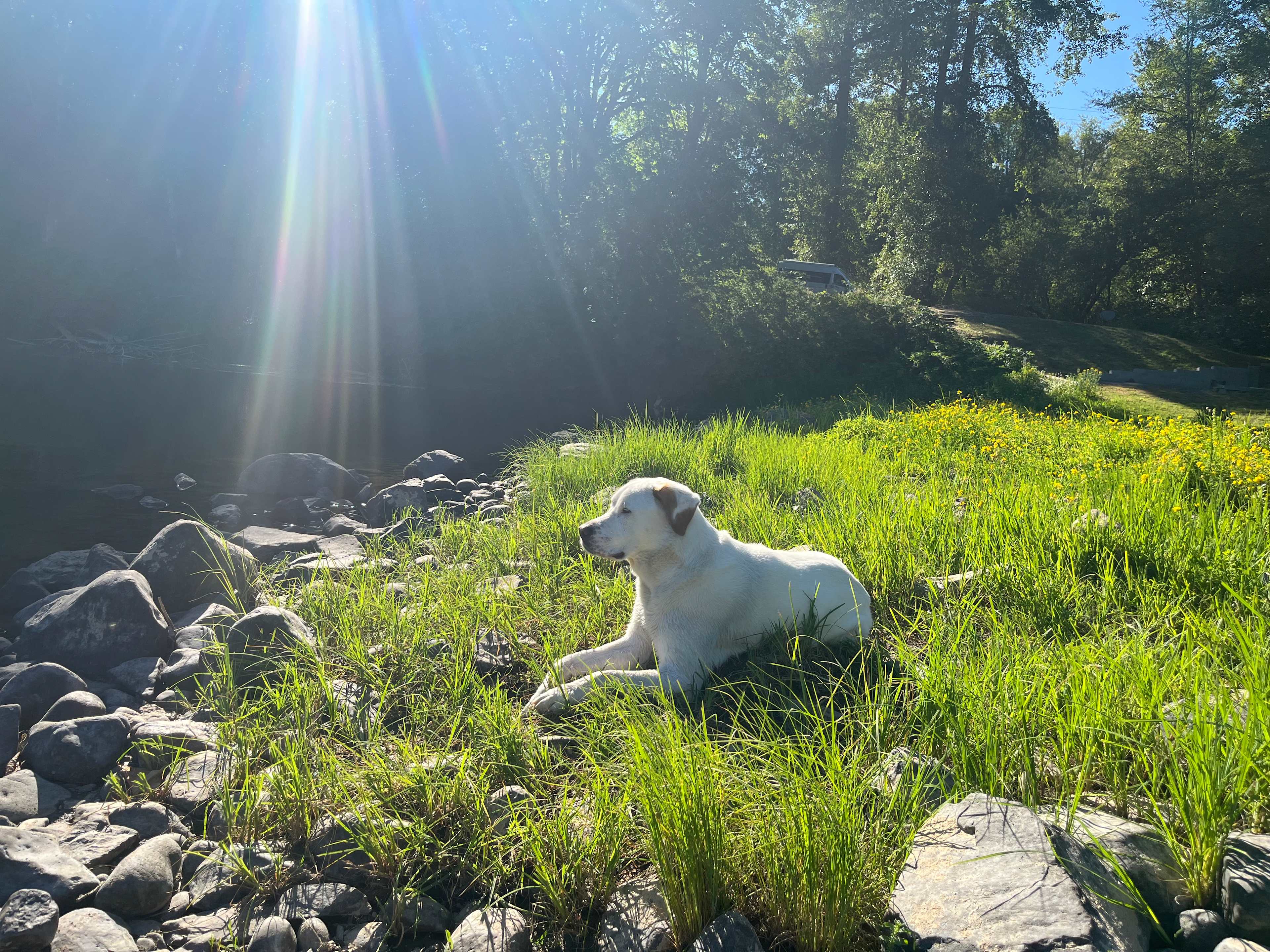 Cowlitz River Camping