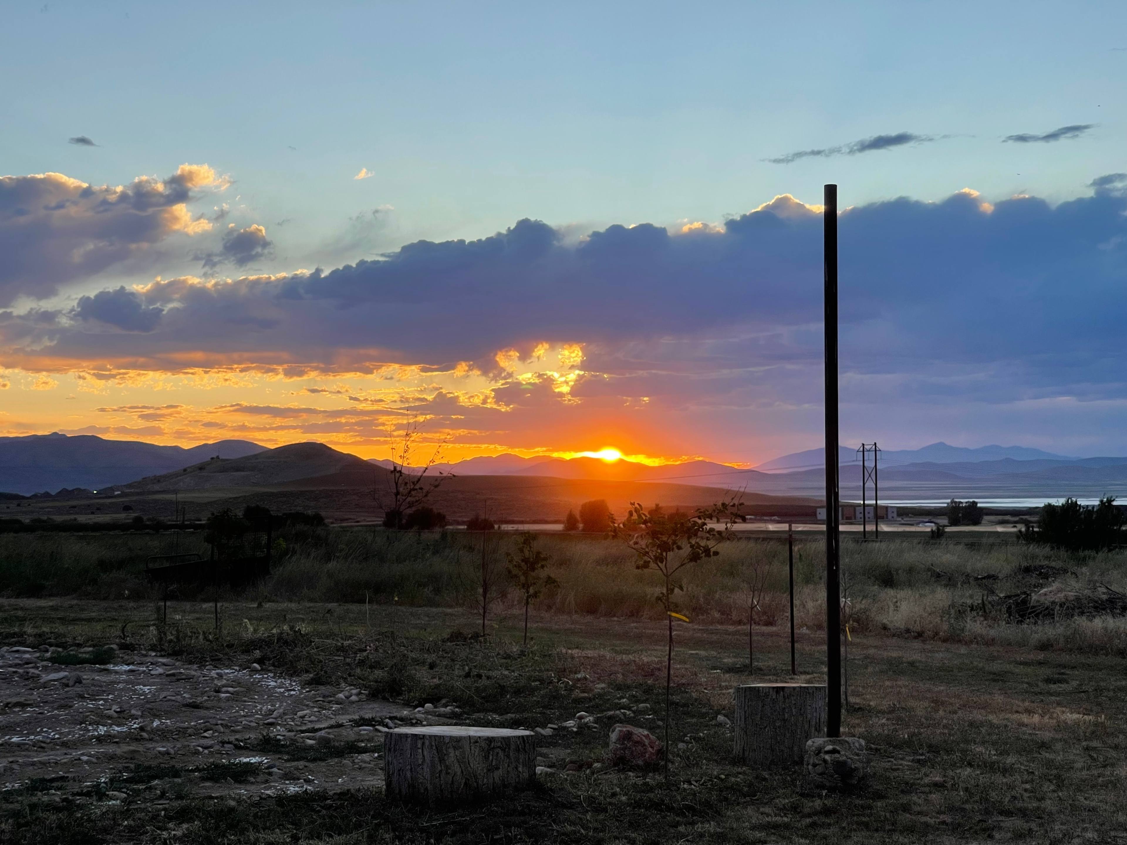 The Rockin Robbins Ranch