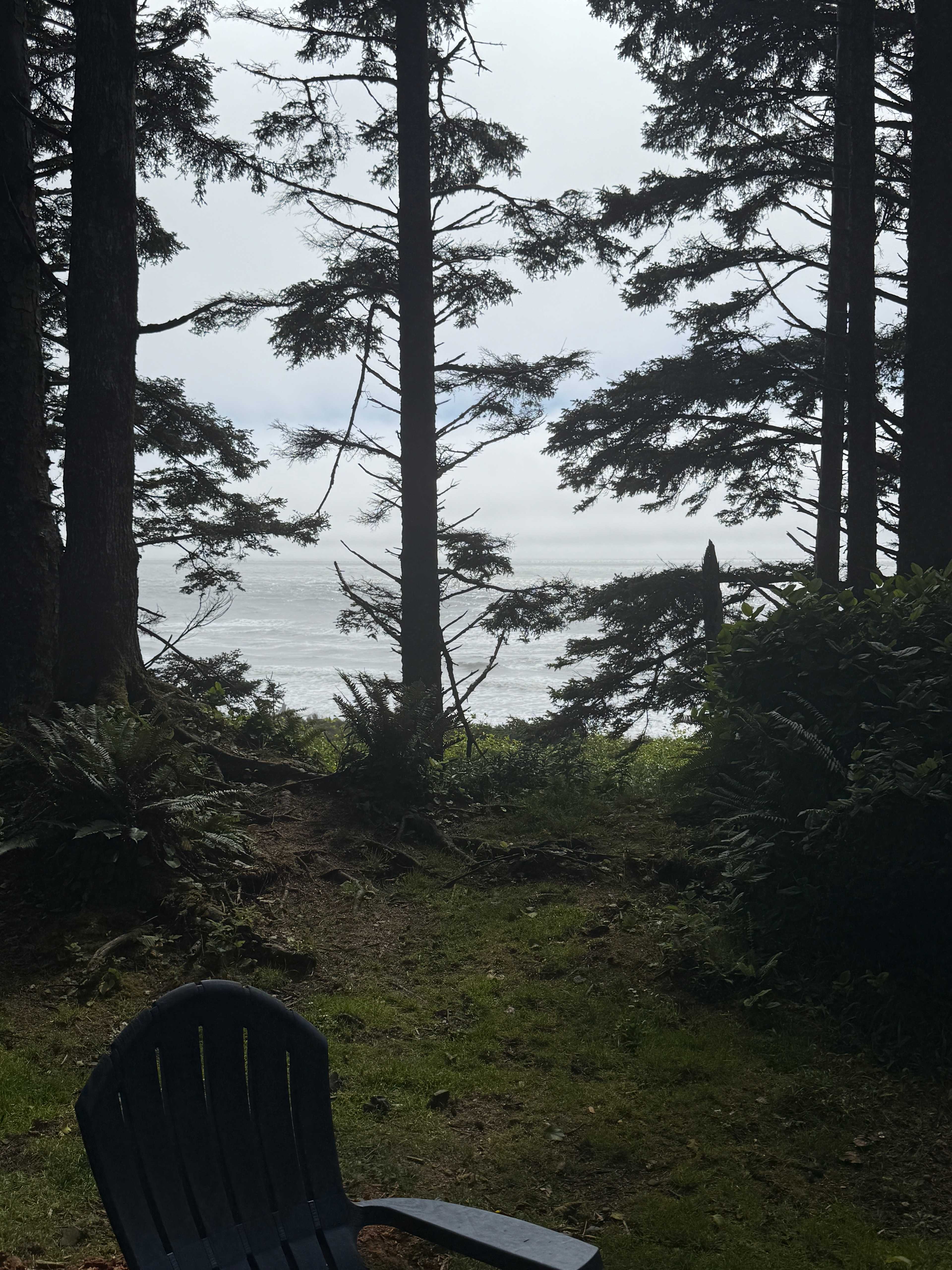 Wild WA Coast Lookout ($75 - $125)