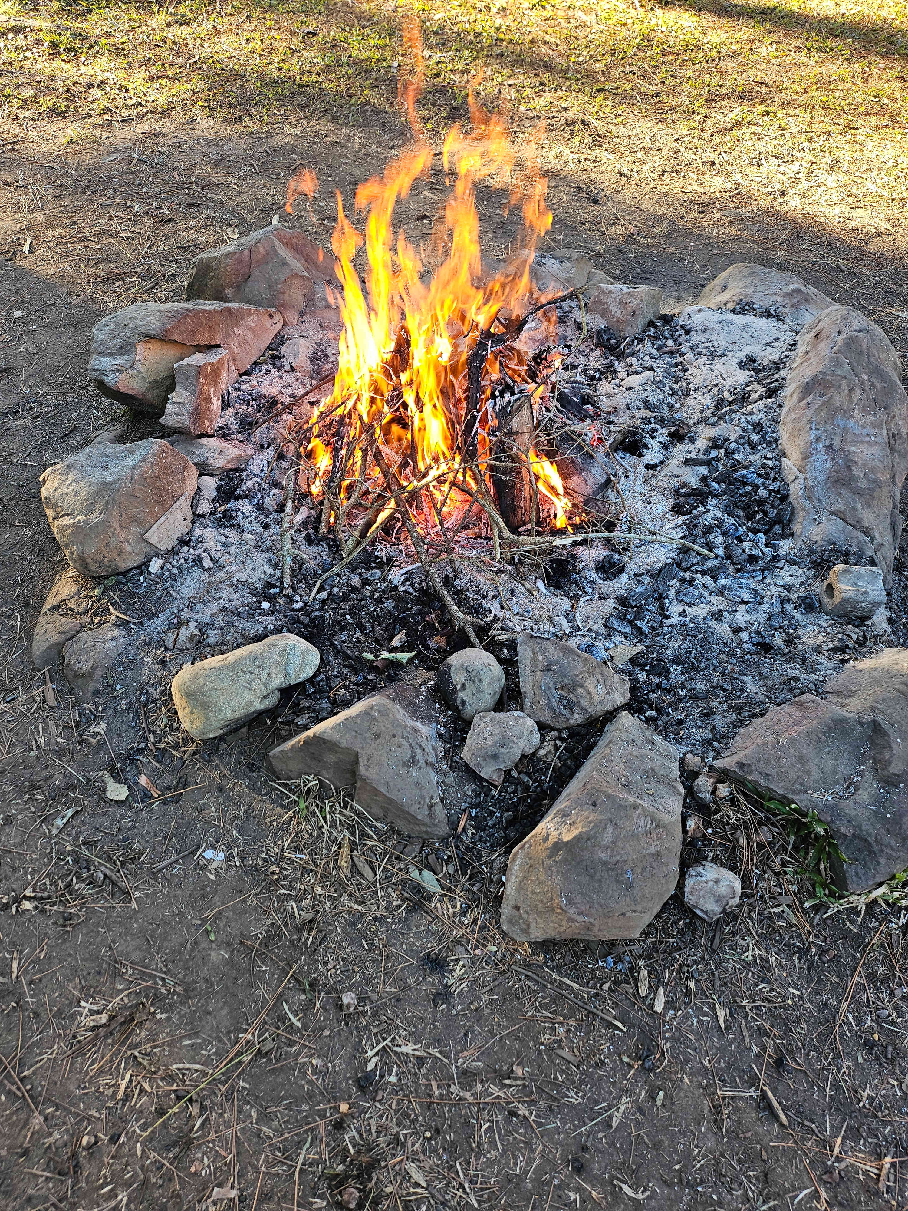 Bushywood at Woodfordskilake