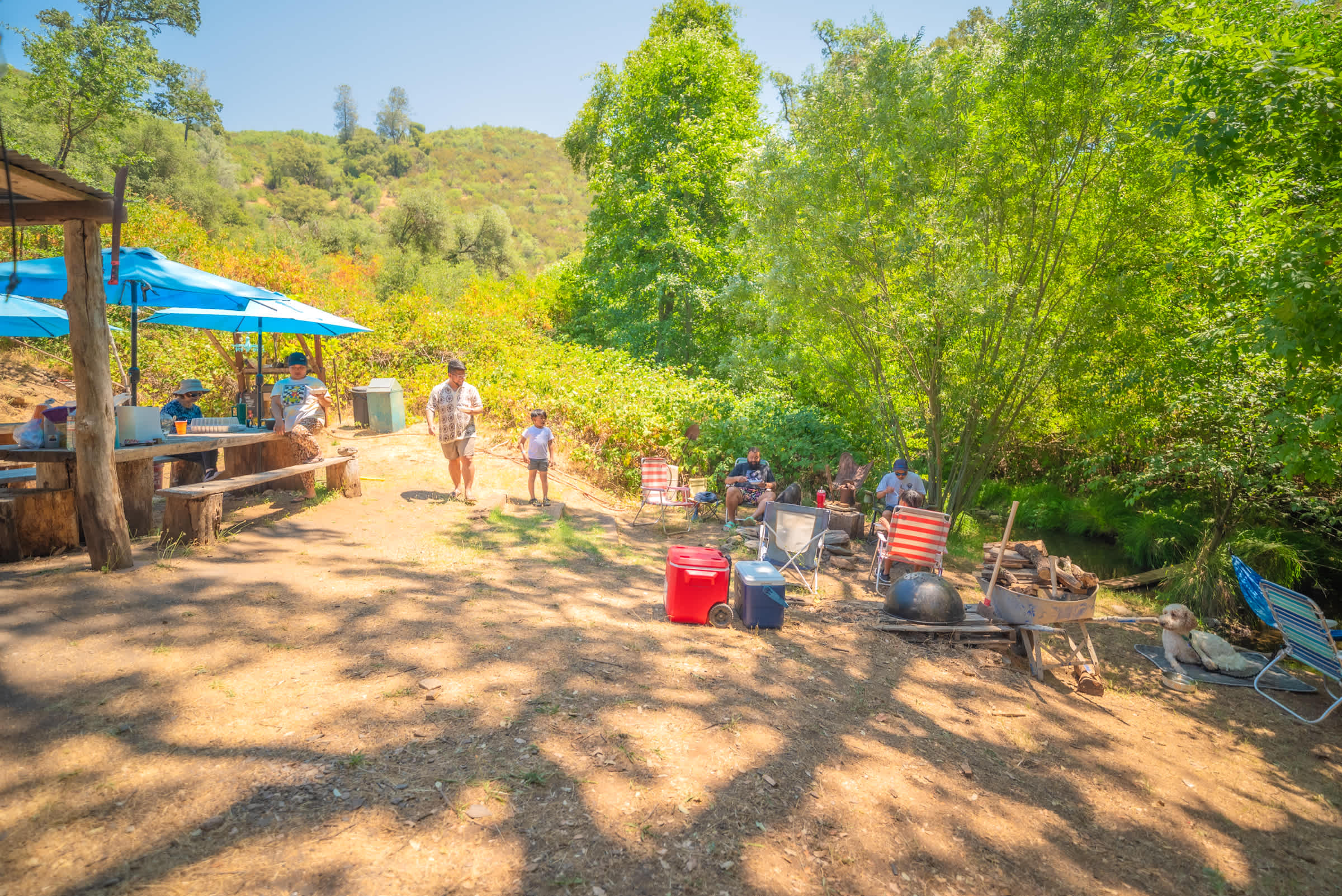 Murray Creek Homestead