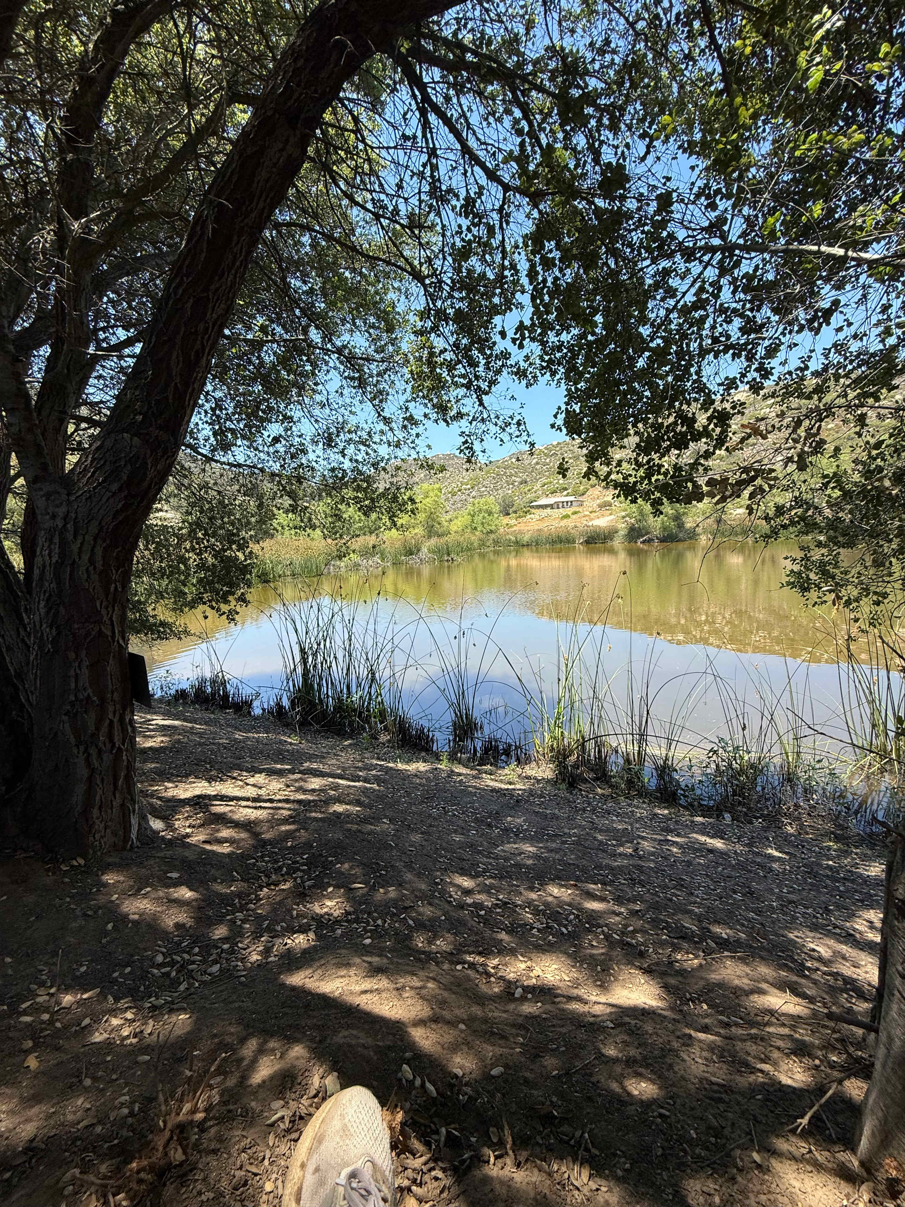 Hidden Lake