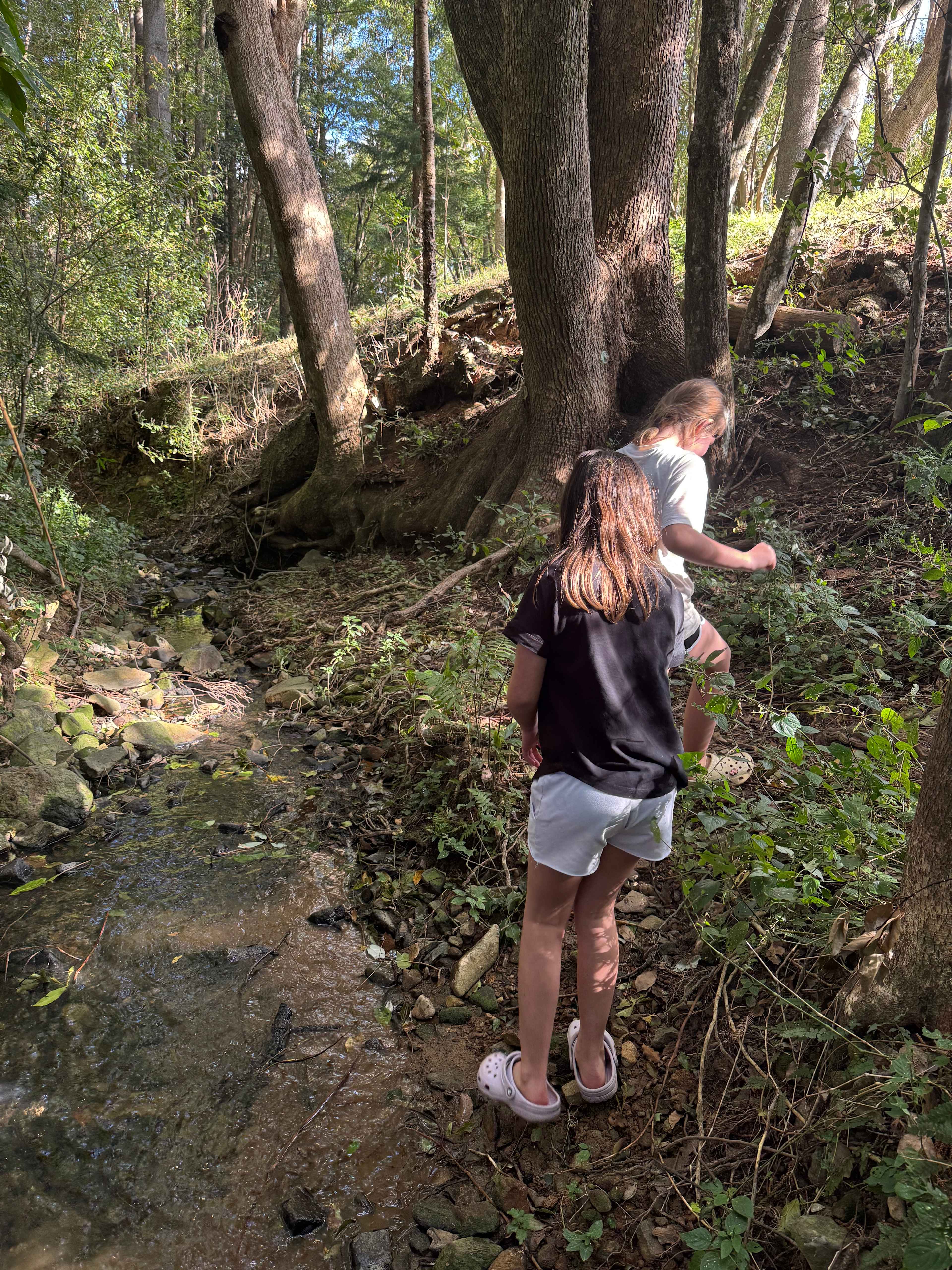 Plenty for the kids to explore! 