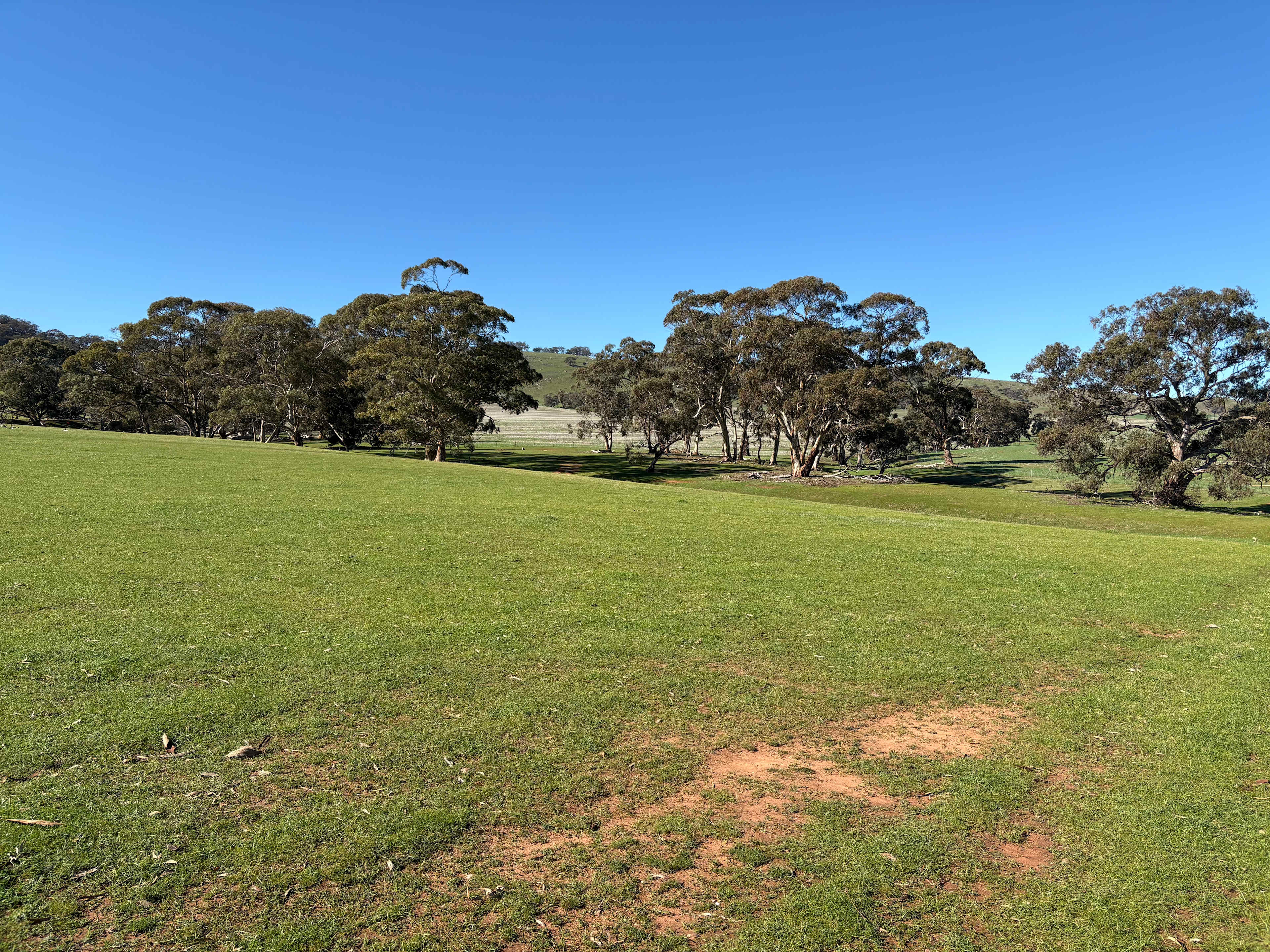 Edgehill Farm Stays Riverton